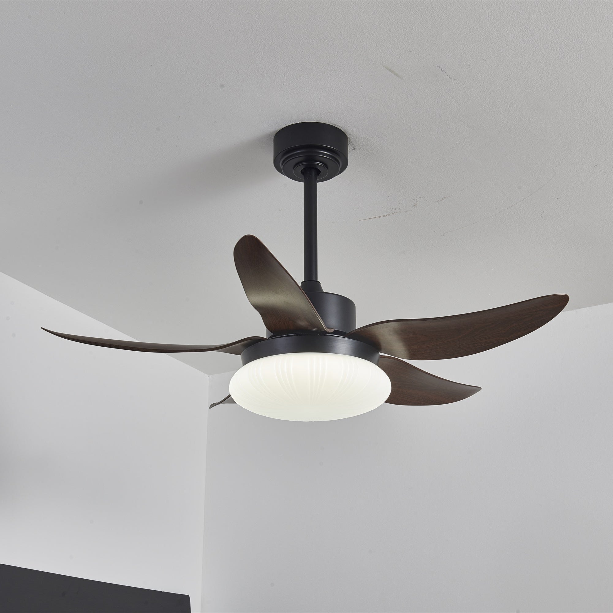 Amely LED Ceiling Fan