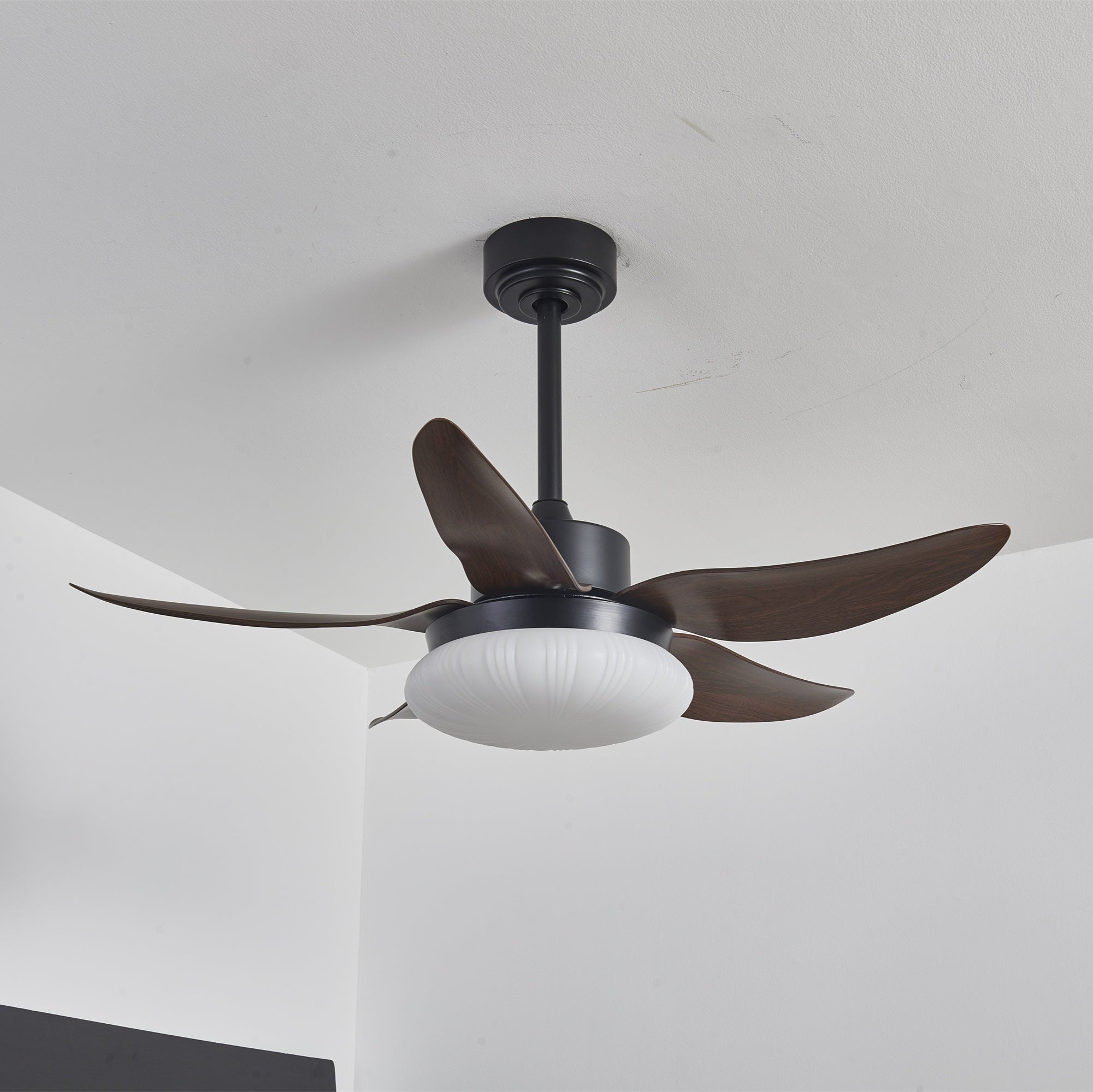 Amely LED Ceiling Fan