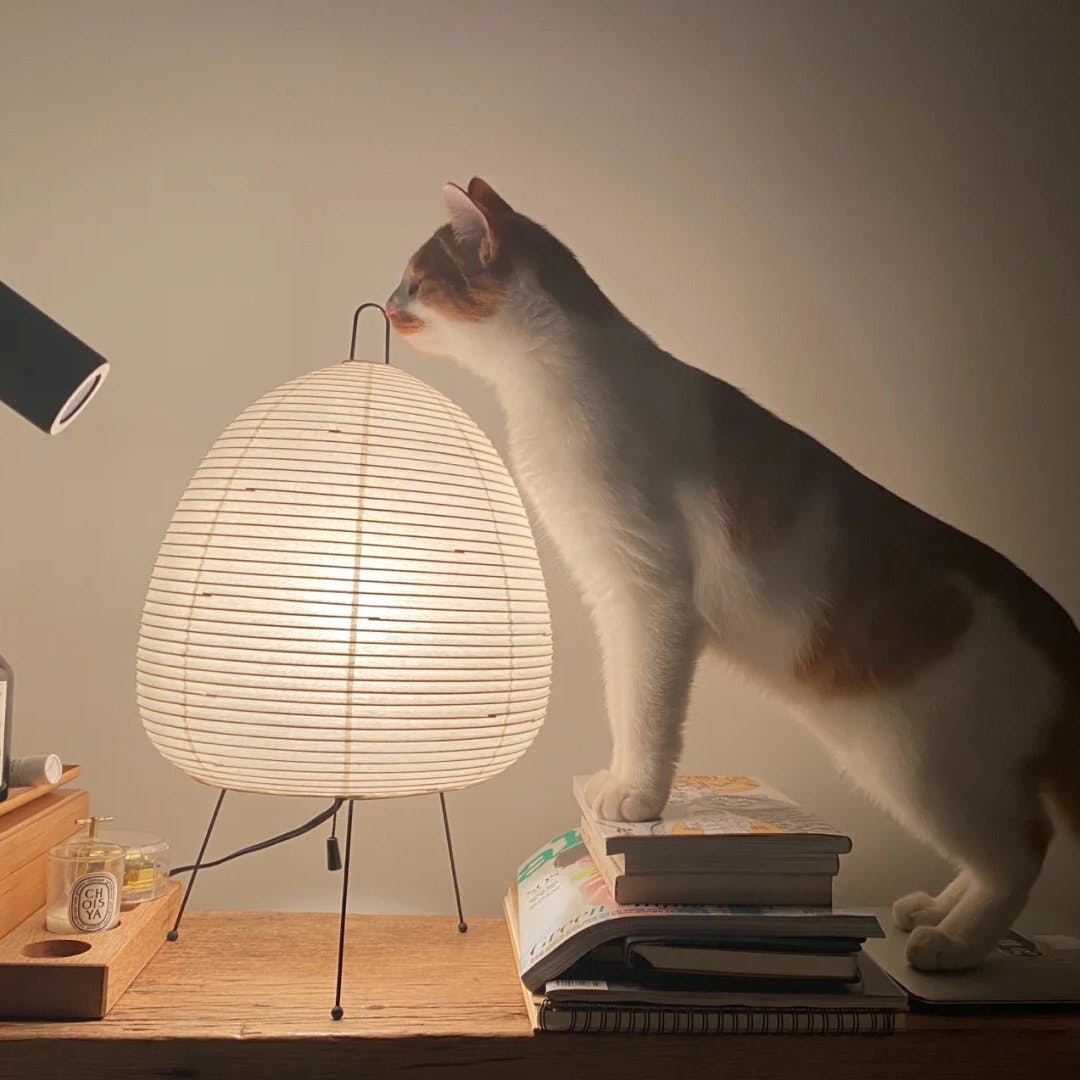 Briero Table Lamp