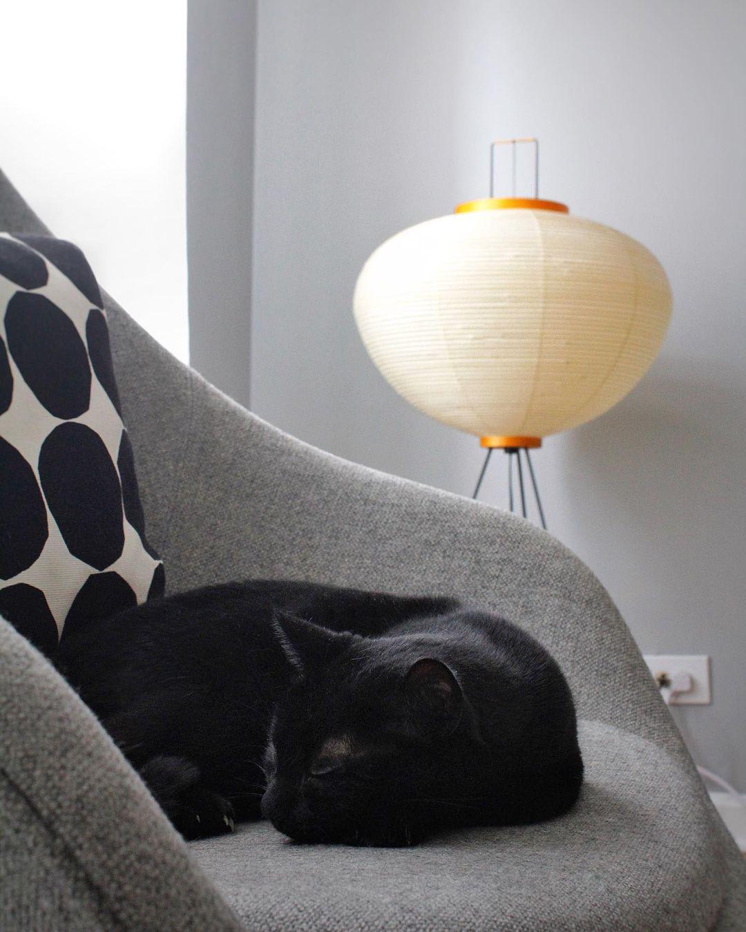 Yariaus Floor Lamp
