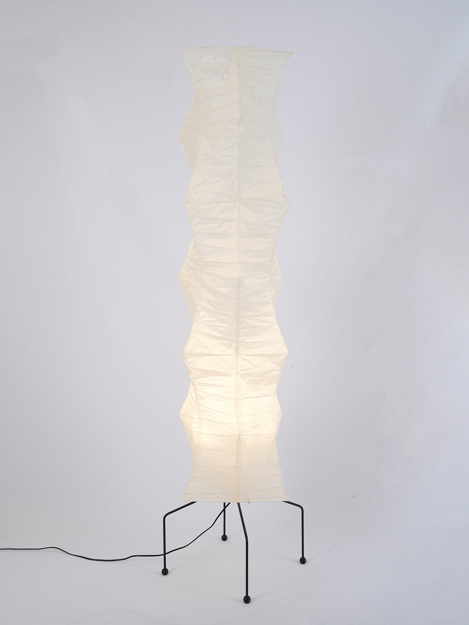 Yariaus Floor Lamp