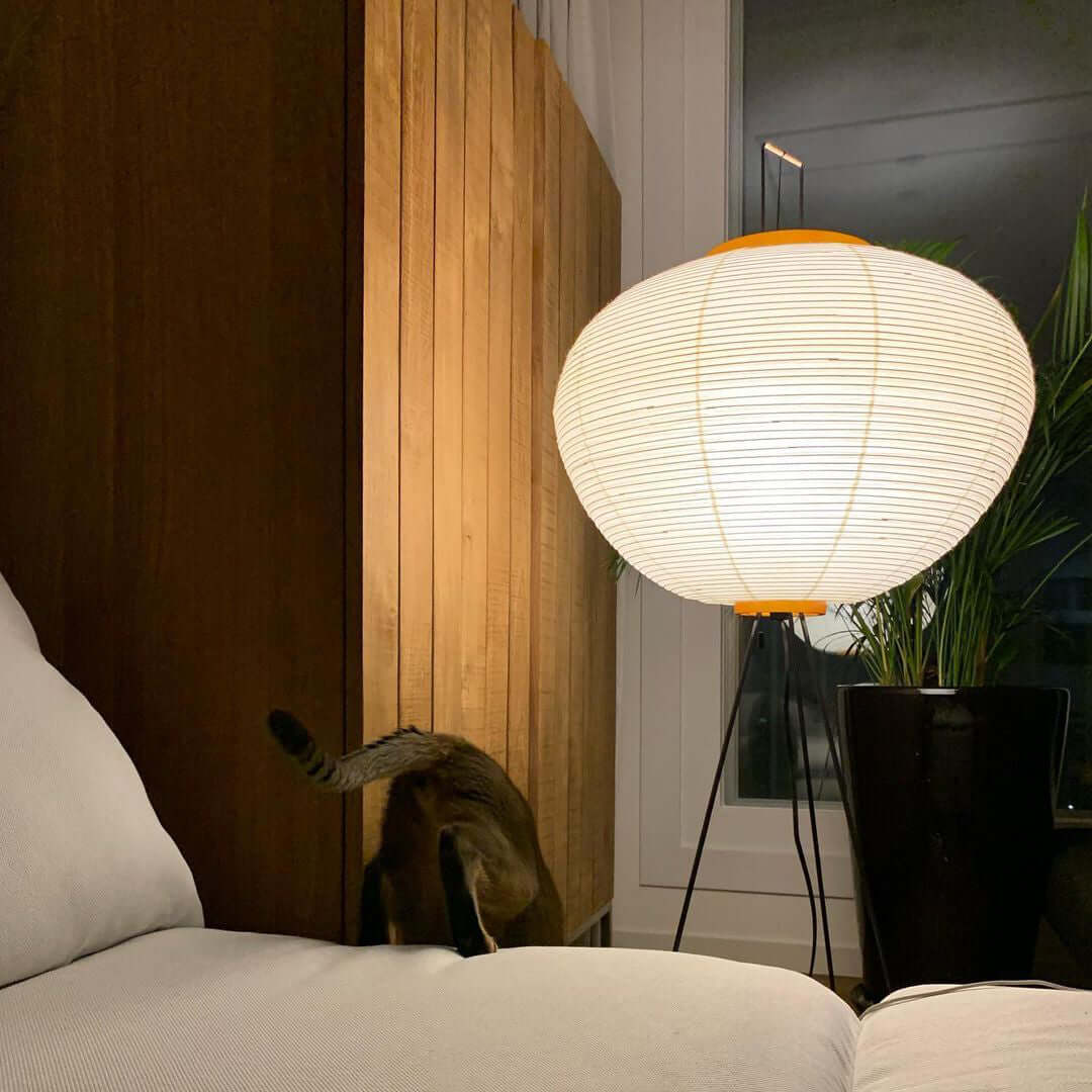 Yariaus Floor Lamp