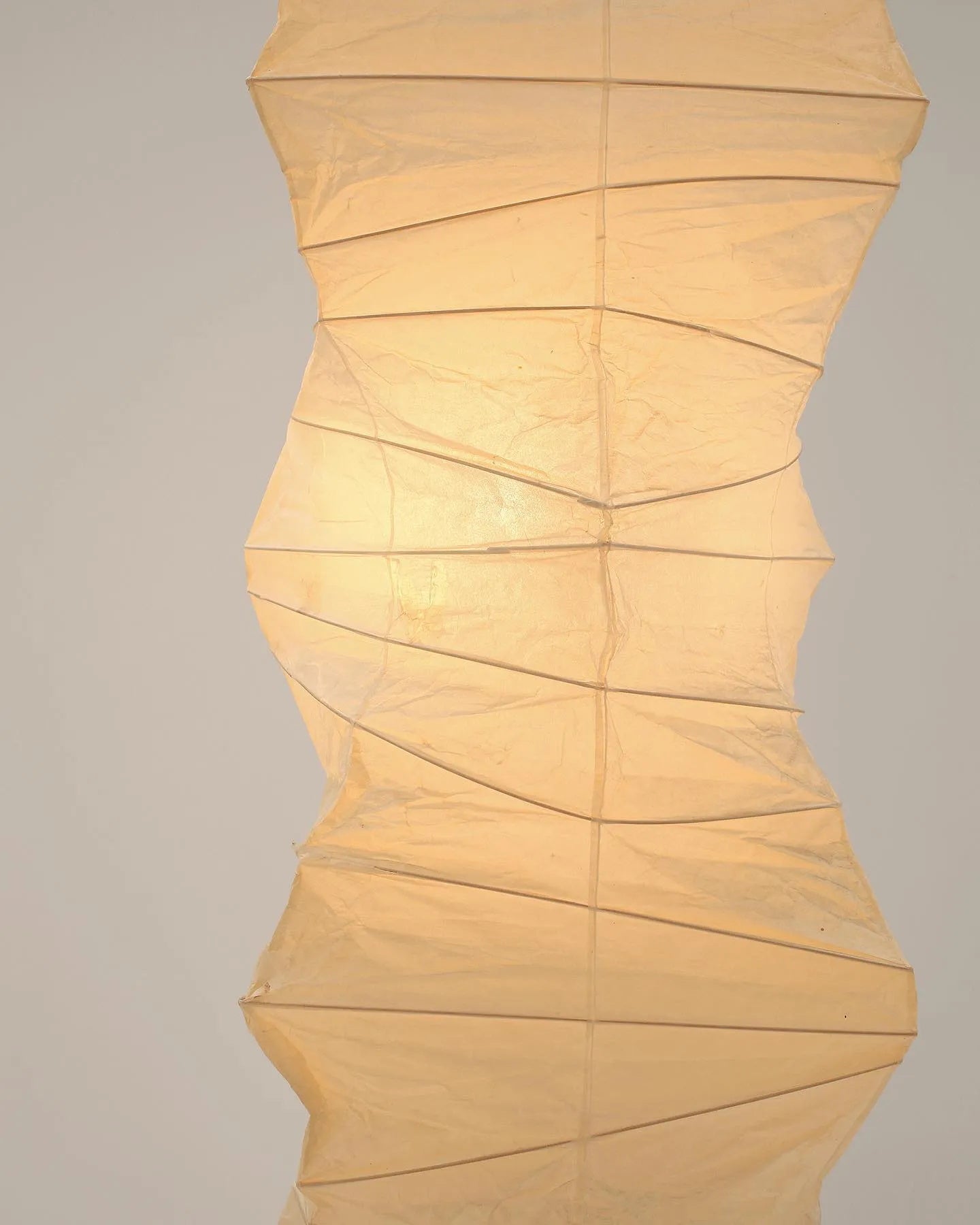 Yariaus Floor Lamp