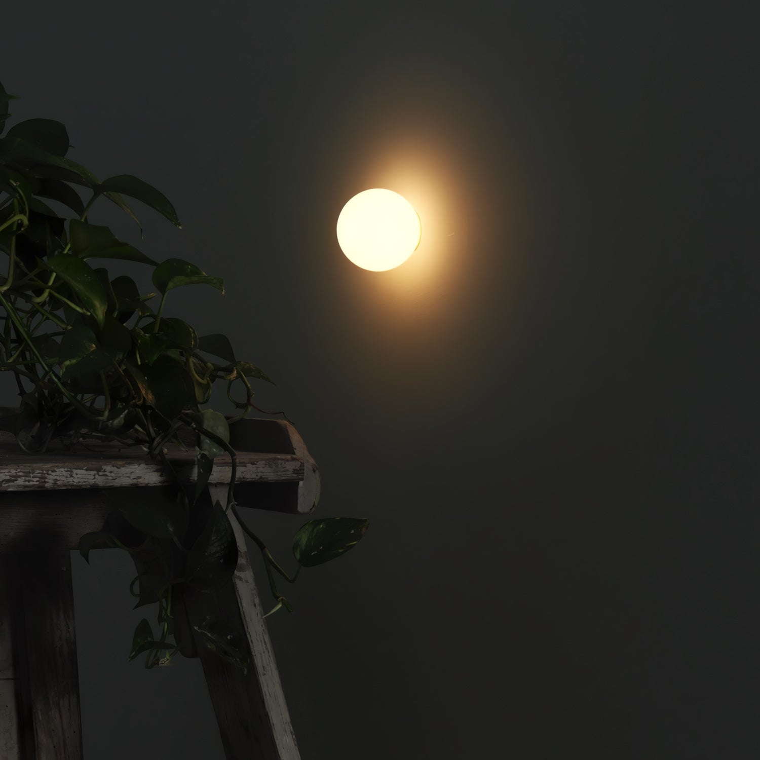 Libaro Orb Wall Light