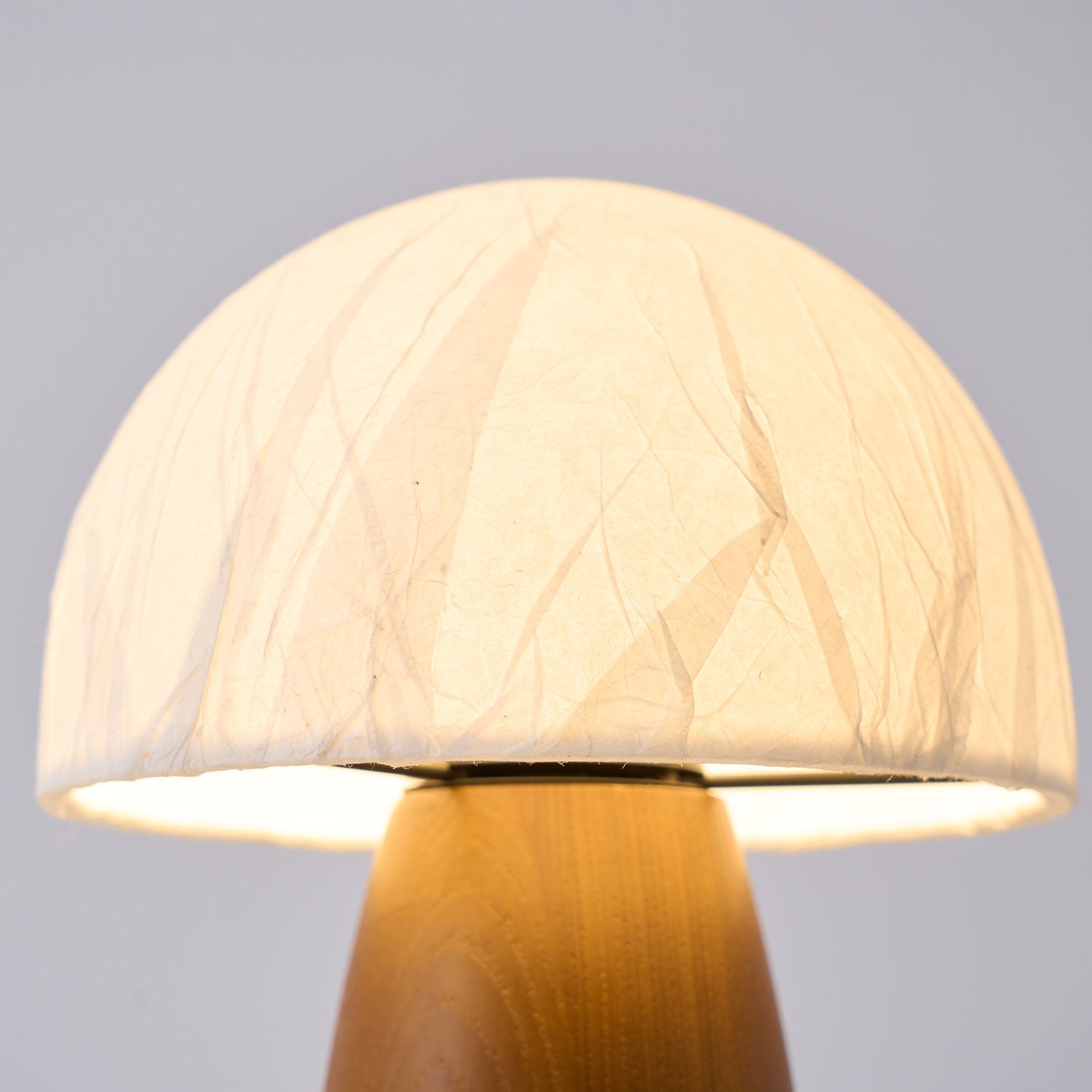 Melsy Mushroom Table Lamp
