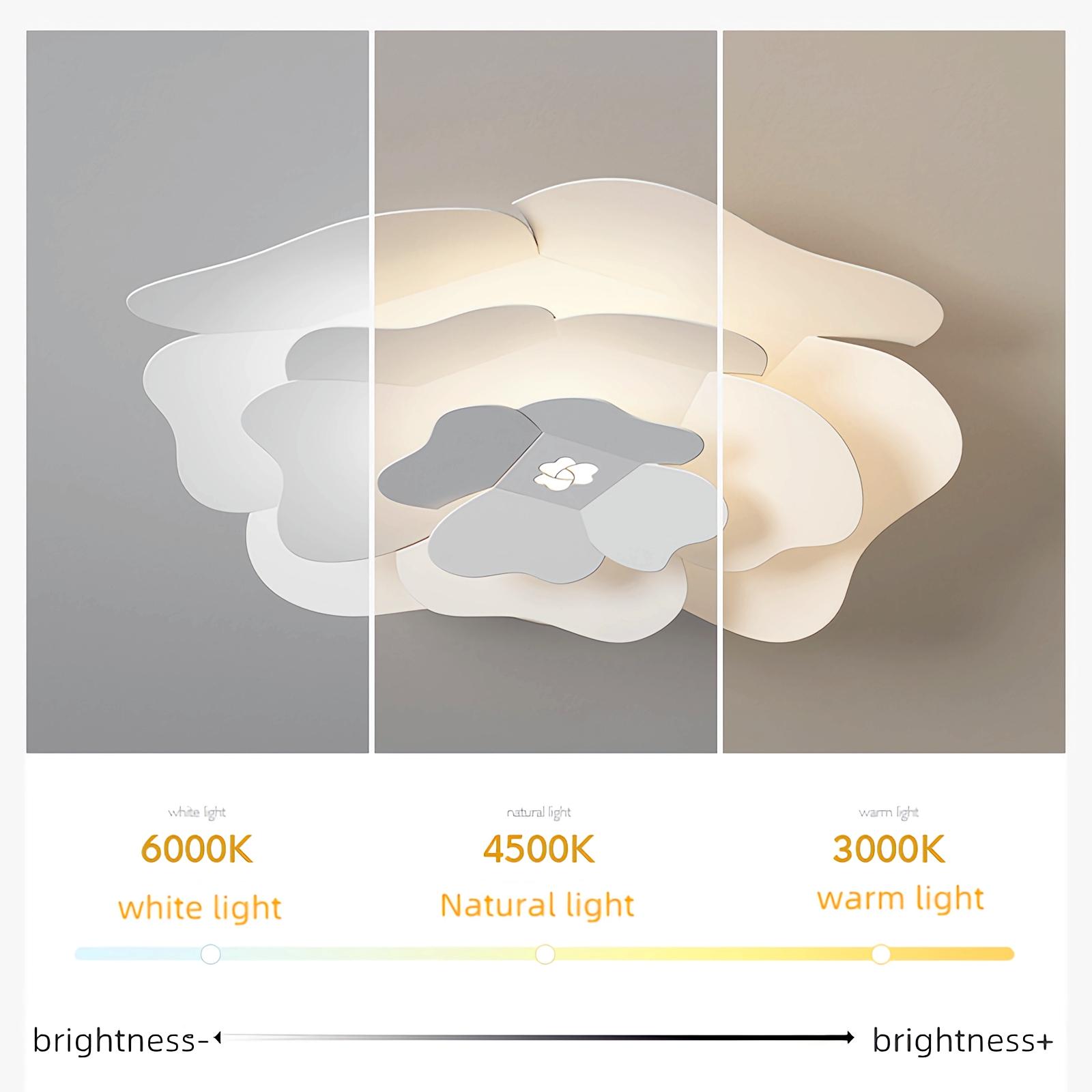Doremi Ceiling Light