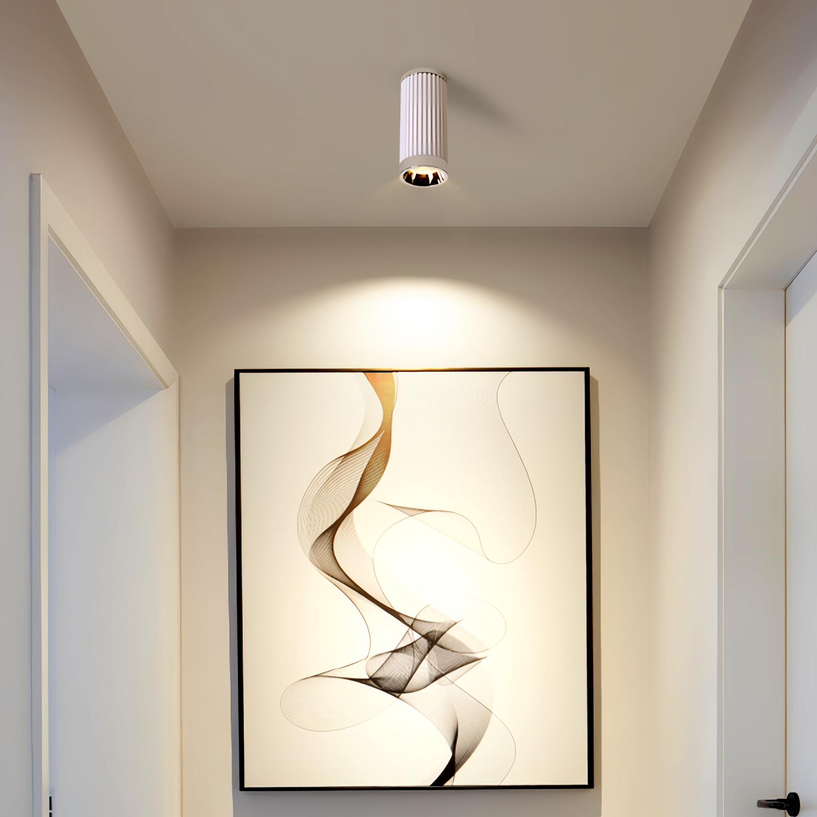 Selaro Ceiling Light
