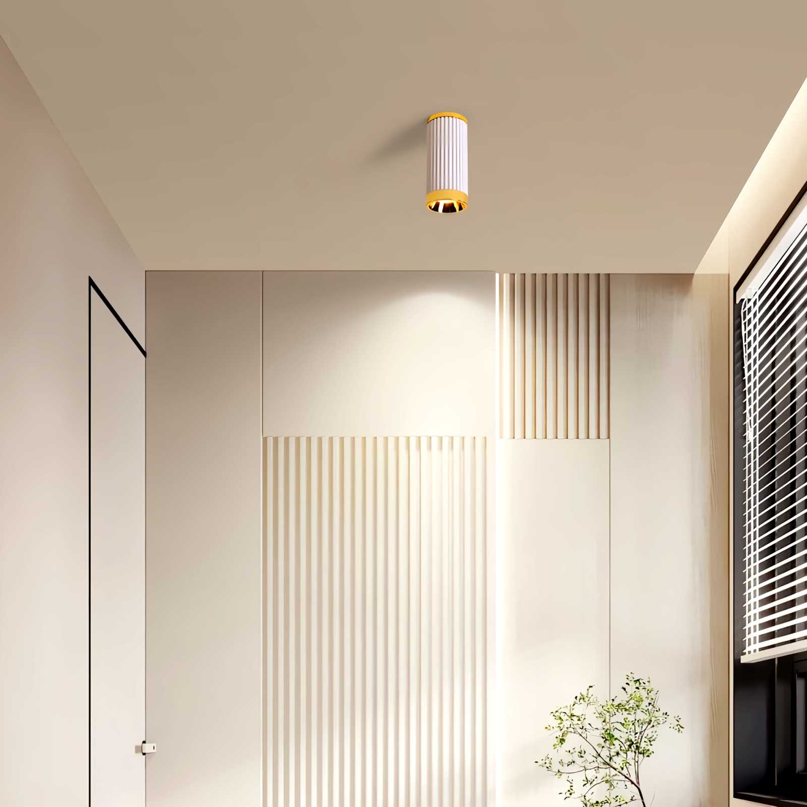 Selaro Ceiling Light