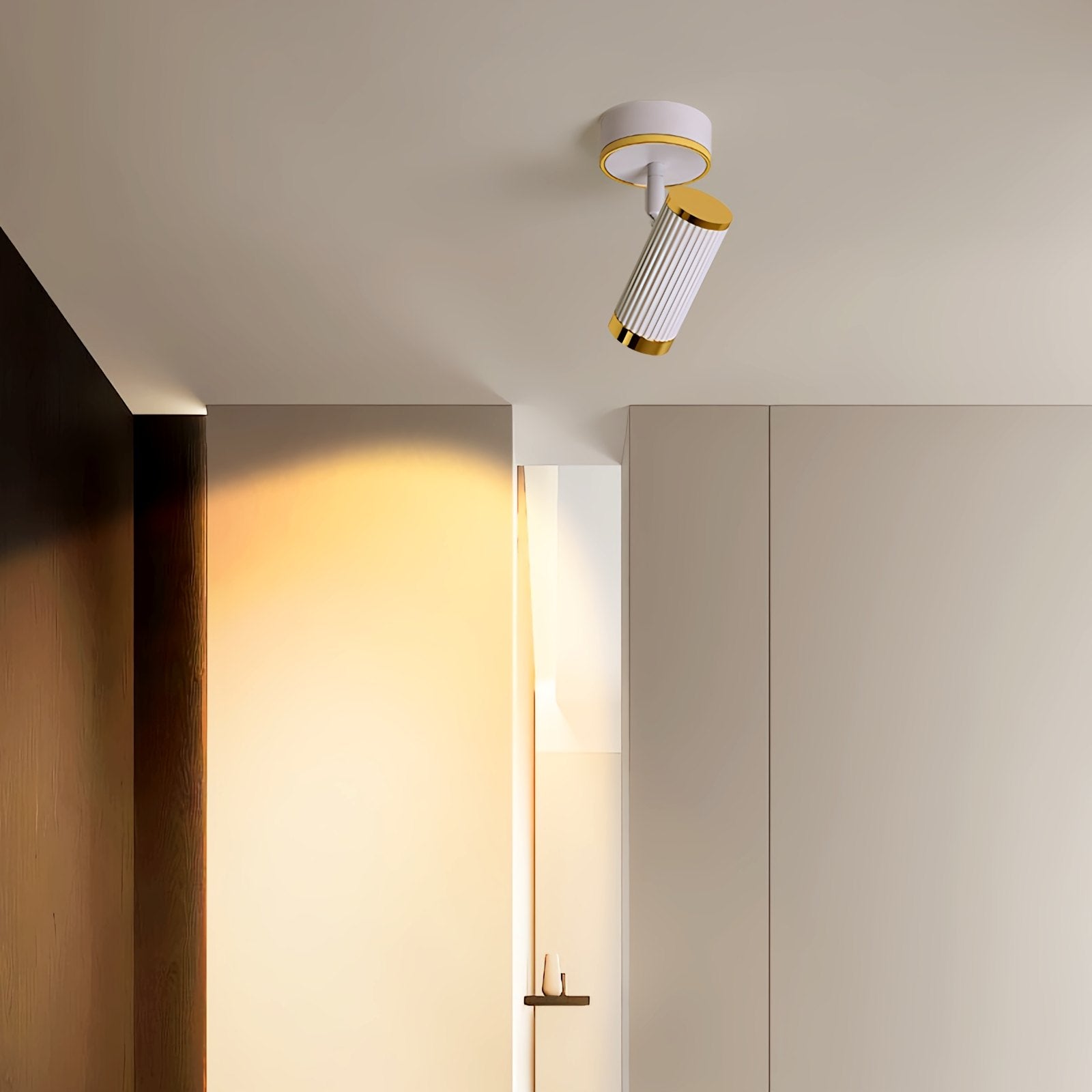 Junivo Ceiling Light
