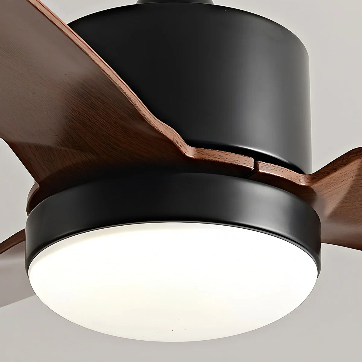 Marvento Ceiling Fan