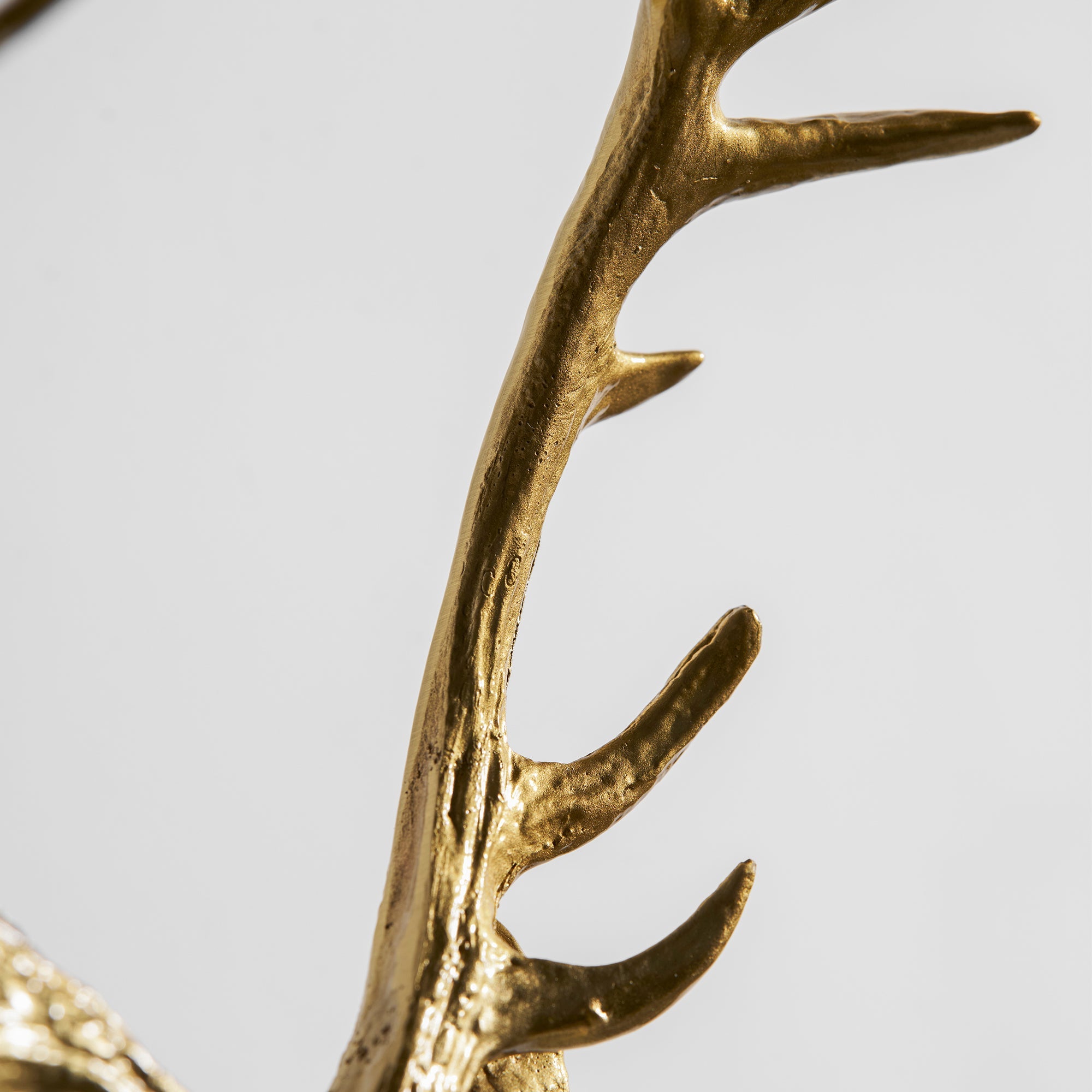 Ashve Stag Wall Light