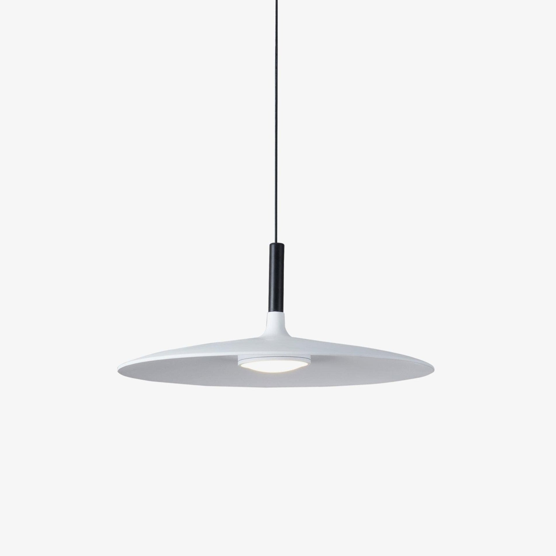 Alomb Metal Pendant Light