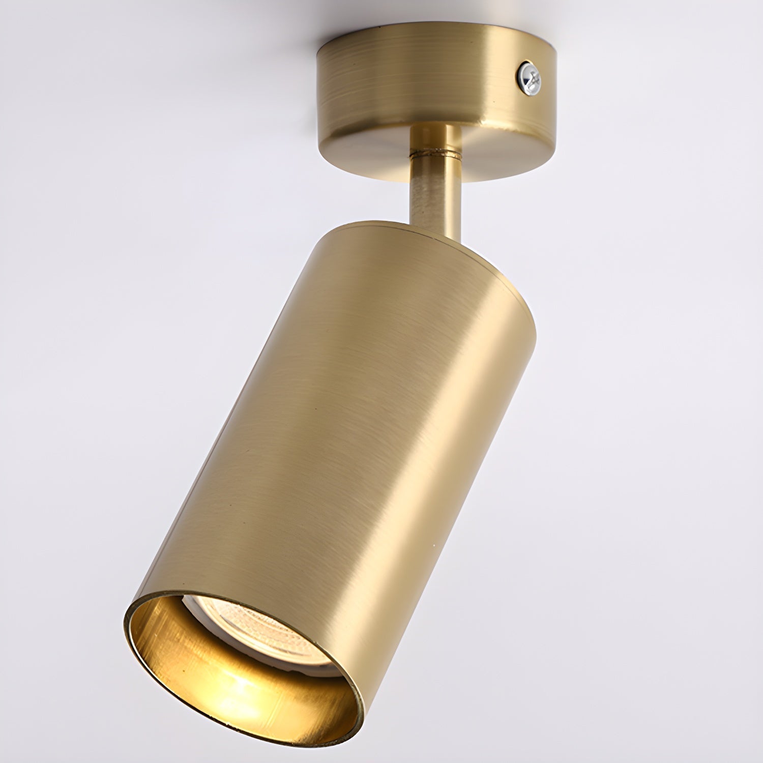 Alzo Spotlight Ceiling Light