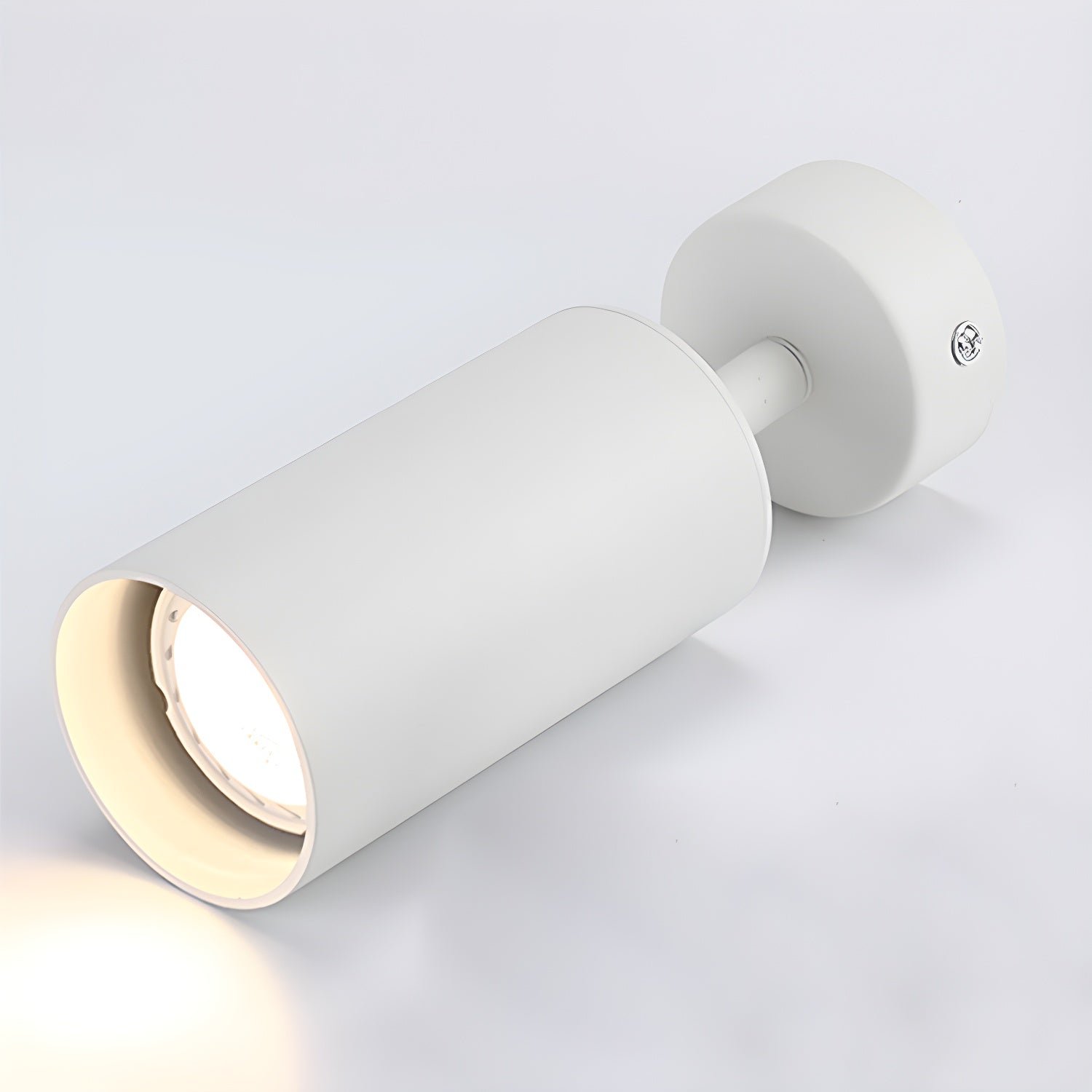 Alzo Spotlight Ceiling Light