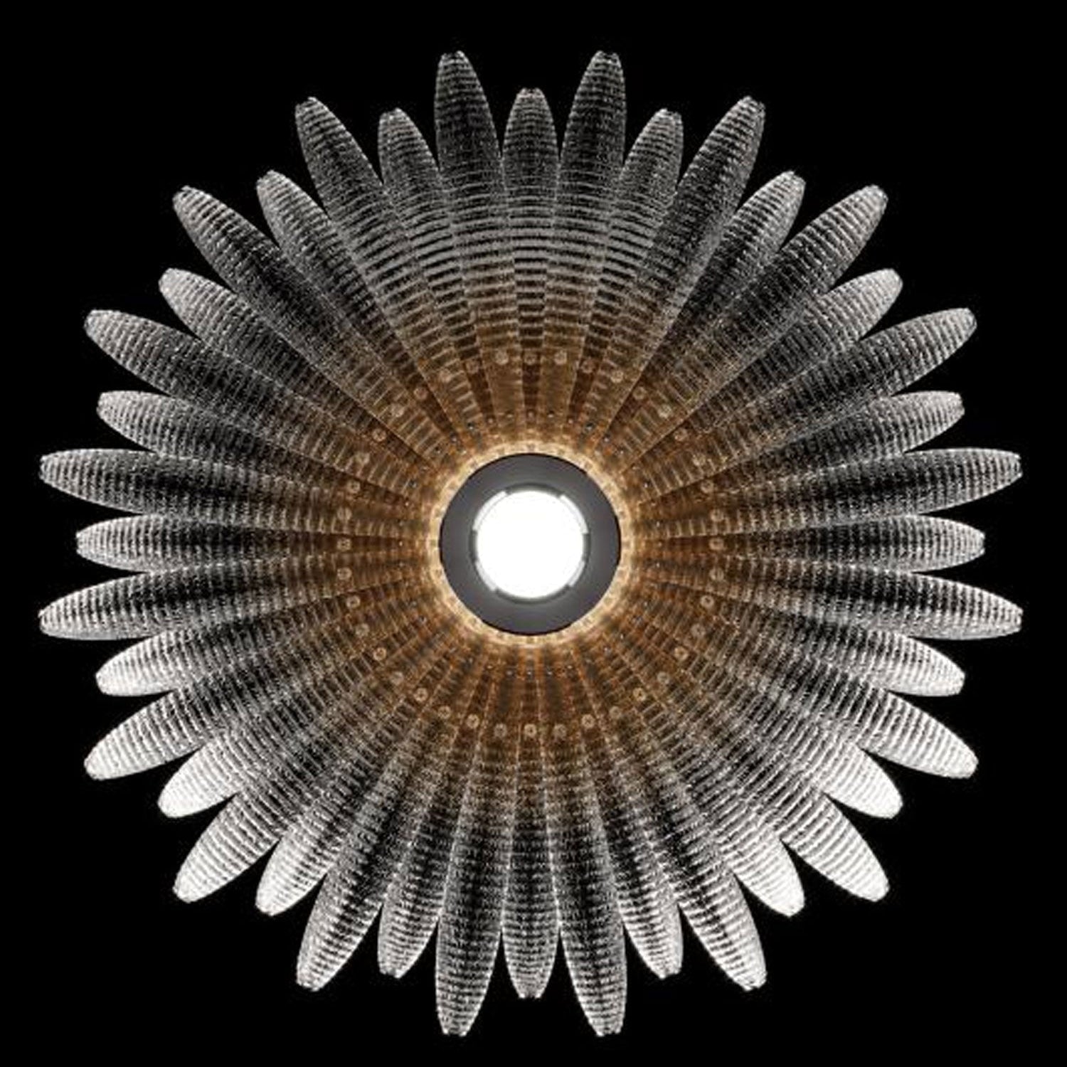 Moveyna Ceiling Light