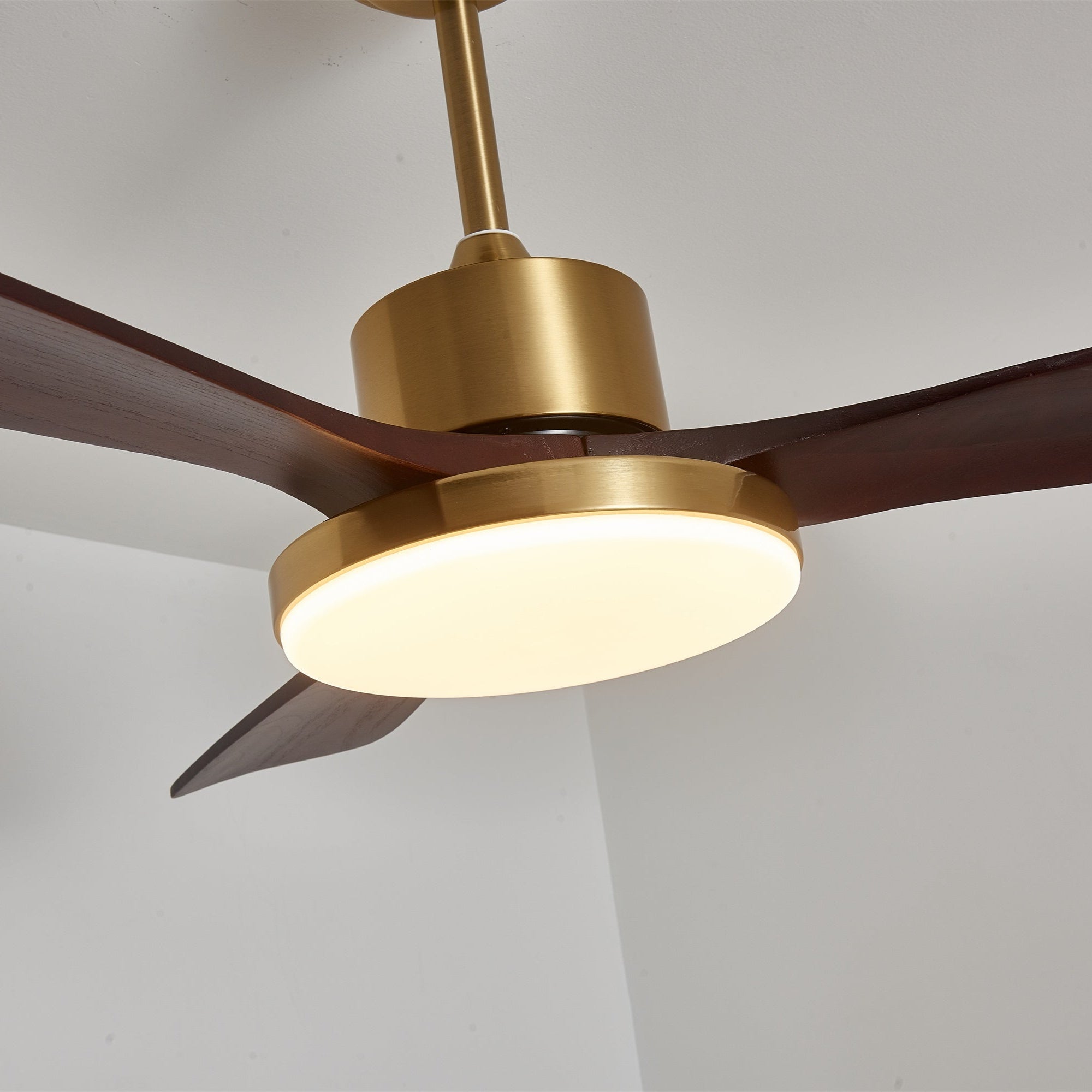 Dorelma LED Ceiling Fan