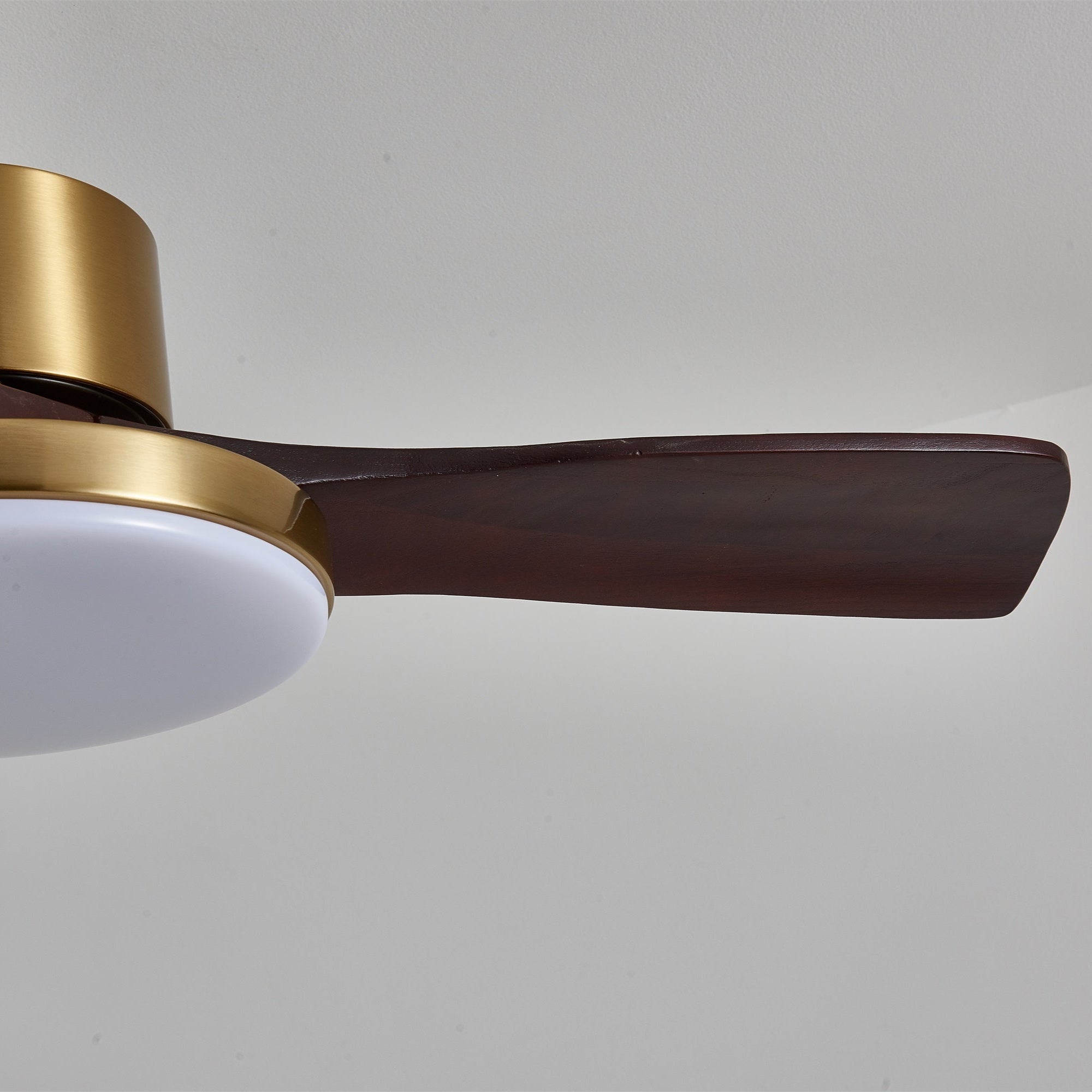 Dorelma LED Ceiling Fan