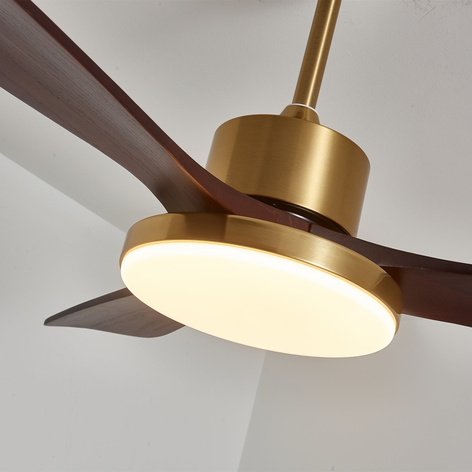 Dorelma LED Ceiling Fan