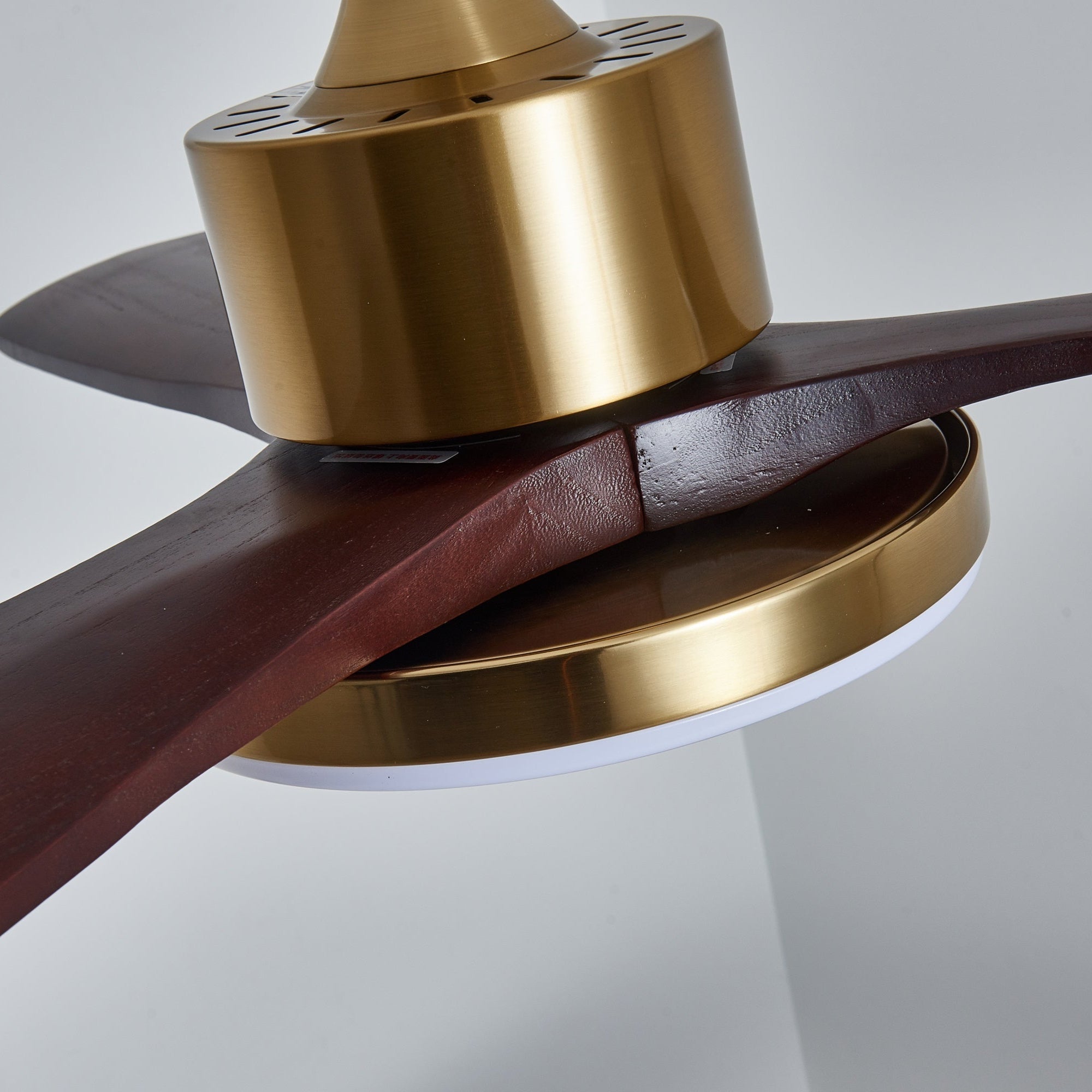 Dorelma LED Ceiling Fan