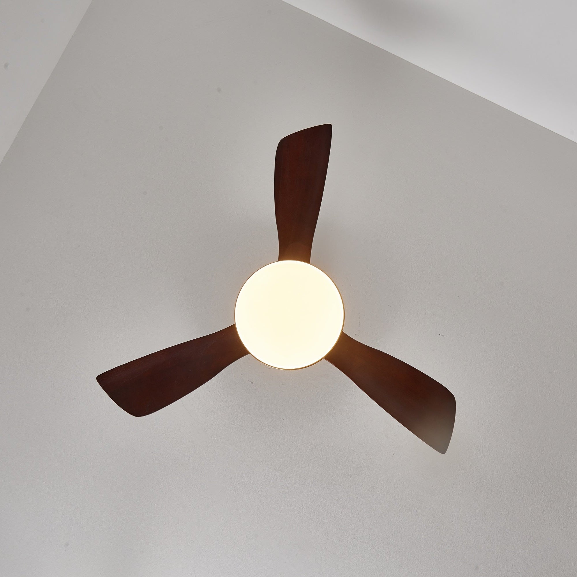 Dorelma LED Ceiling Fan