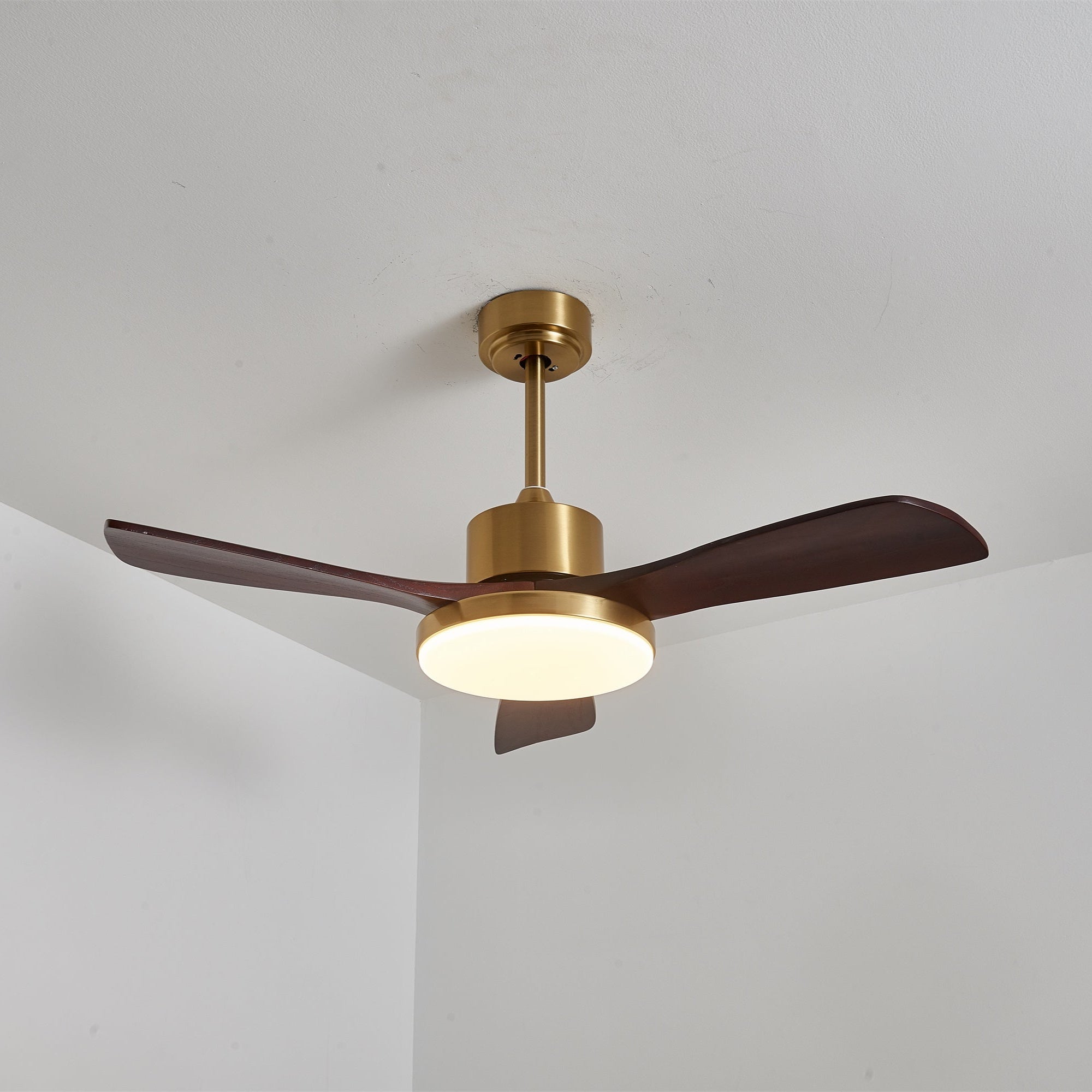 Dorelma LED Ceiling Fan