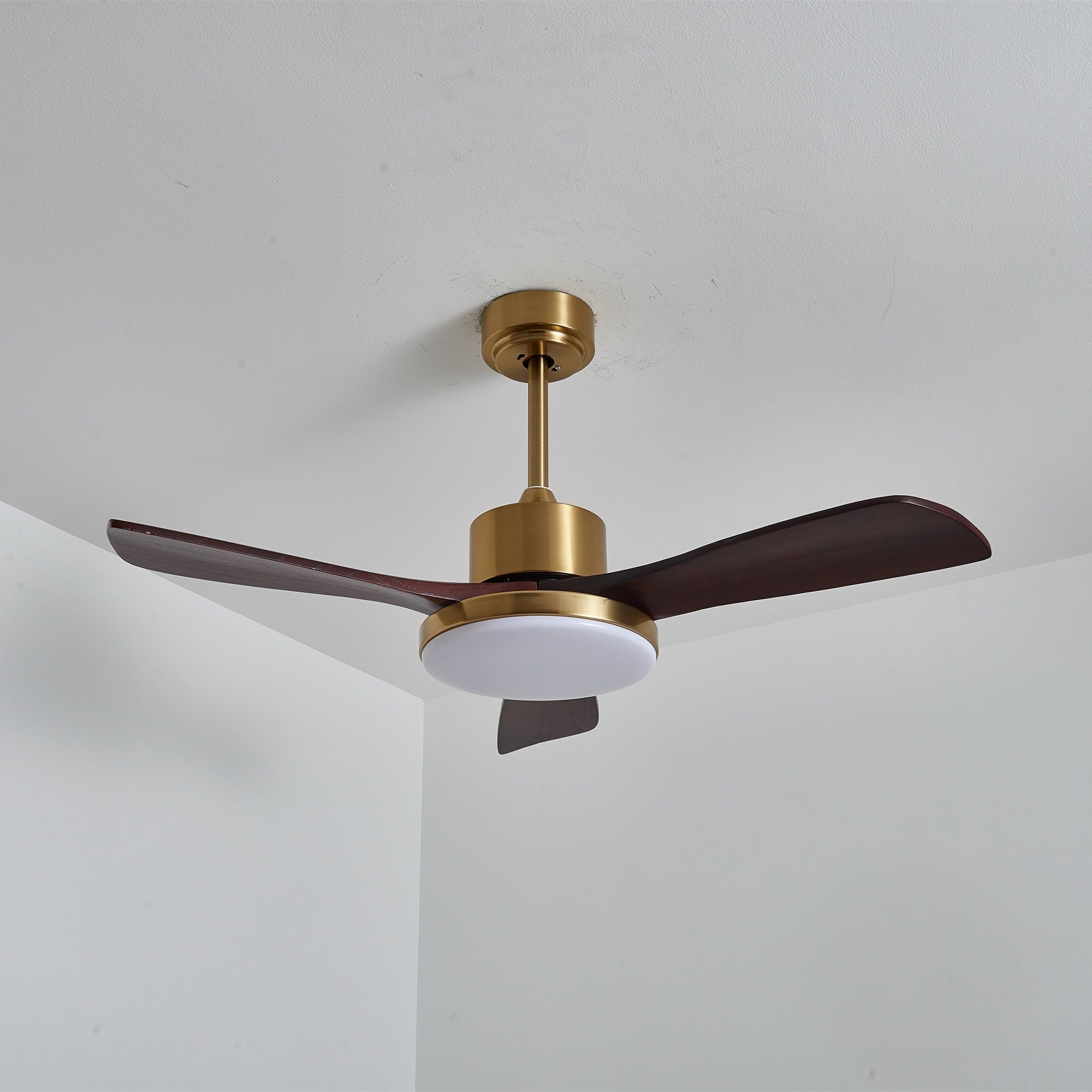 Dorelma LED Ceiling Fan