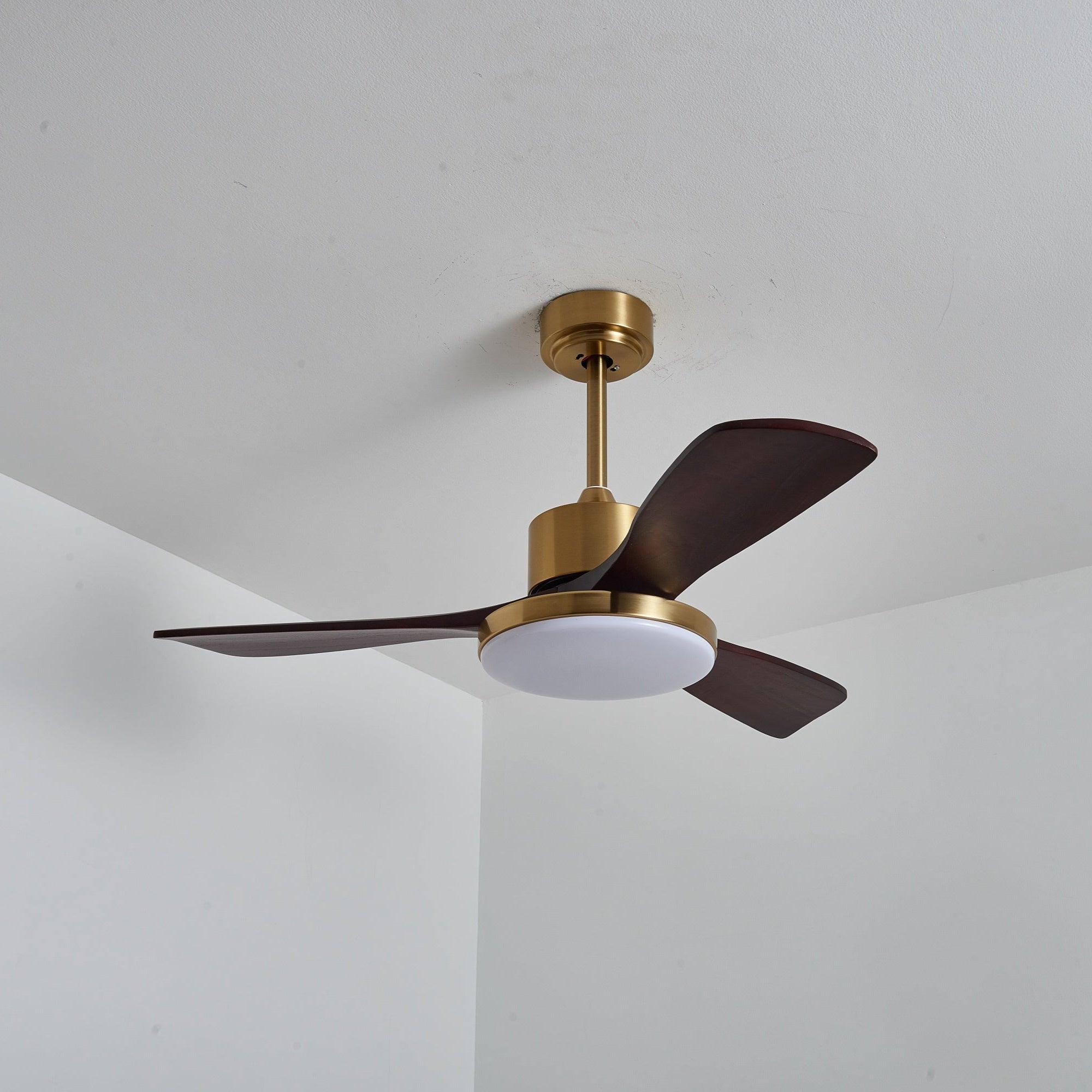 Dorelma LED Ceiling Fan