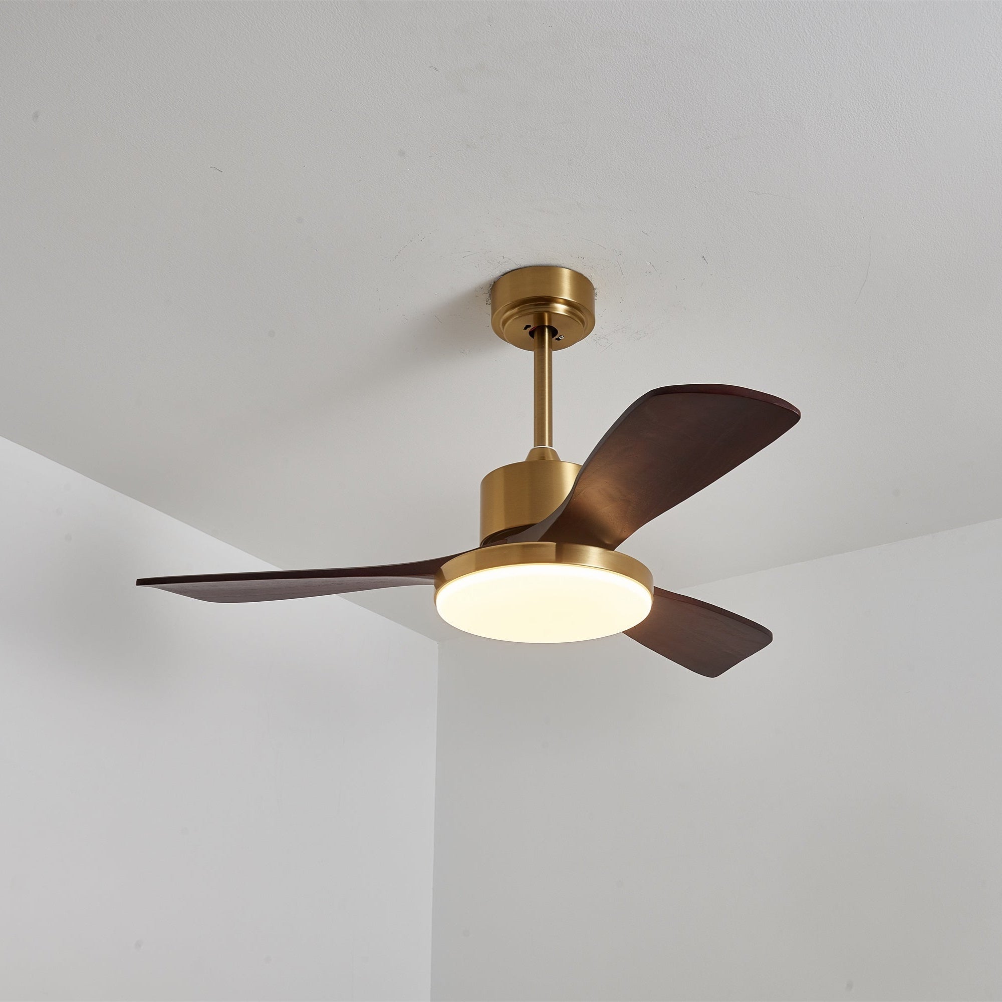 Dorelma LED Ceiling Fan