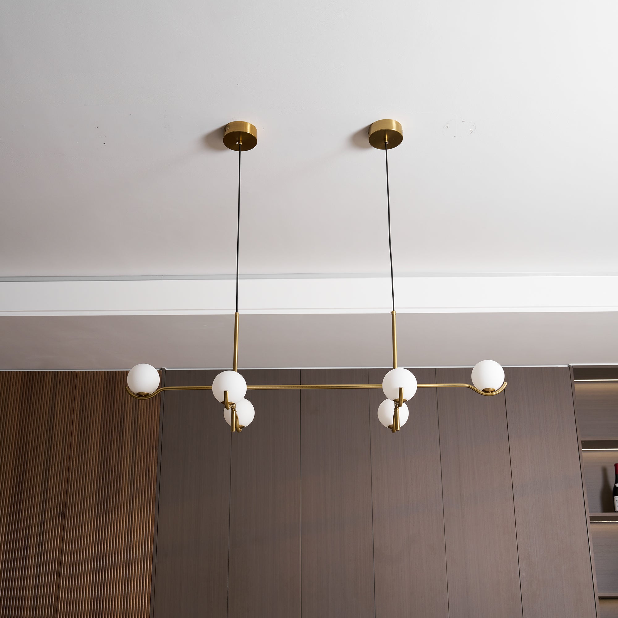 Lenyma Globe Pendant Light