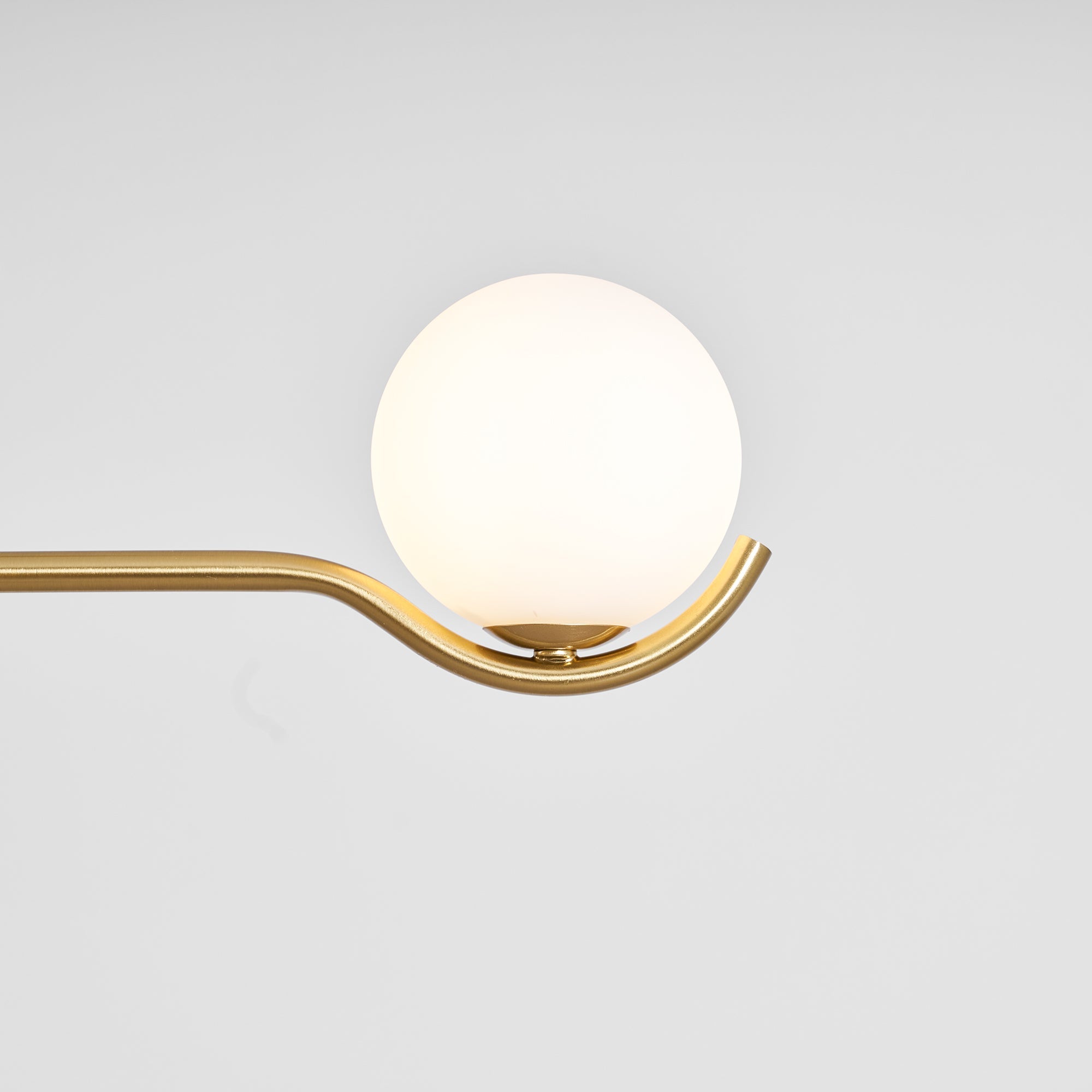 Lenyma Globe Pendant Light