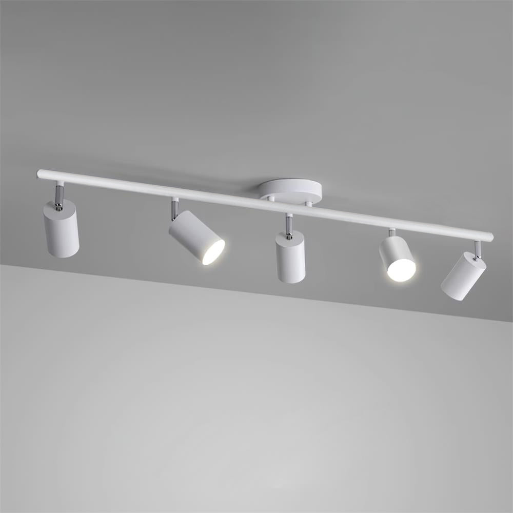 Givento Ceiling Light