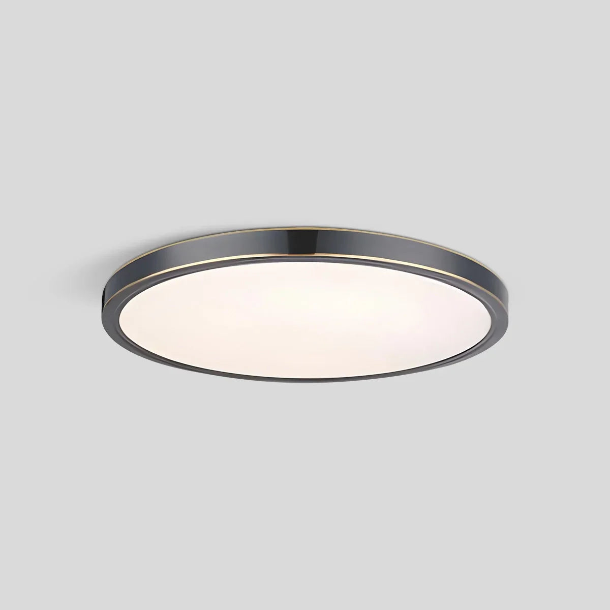 Disculon Ceiling Light