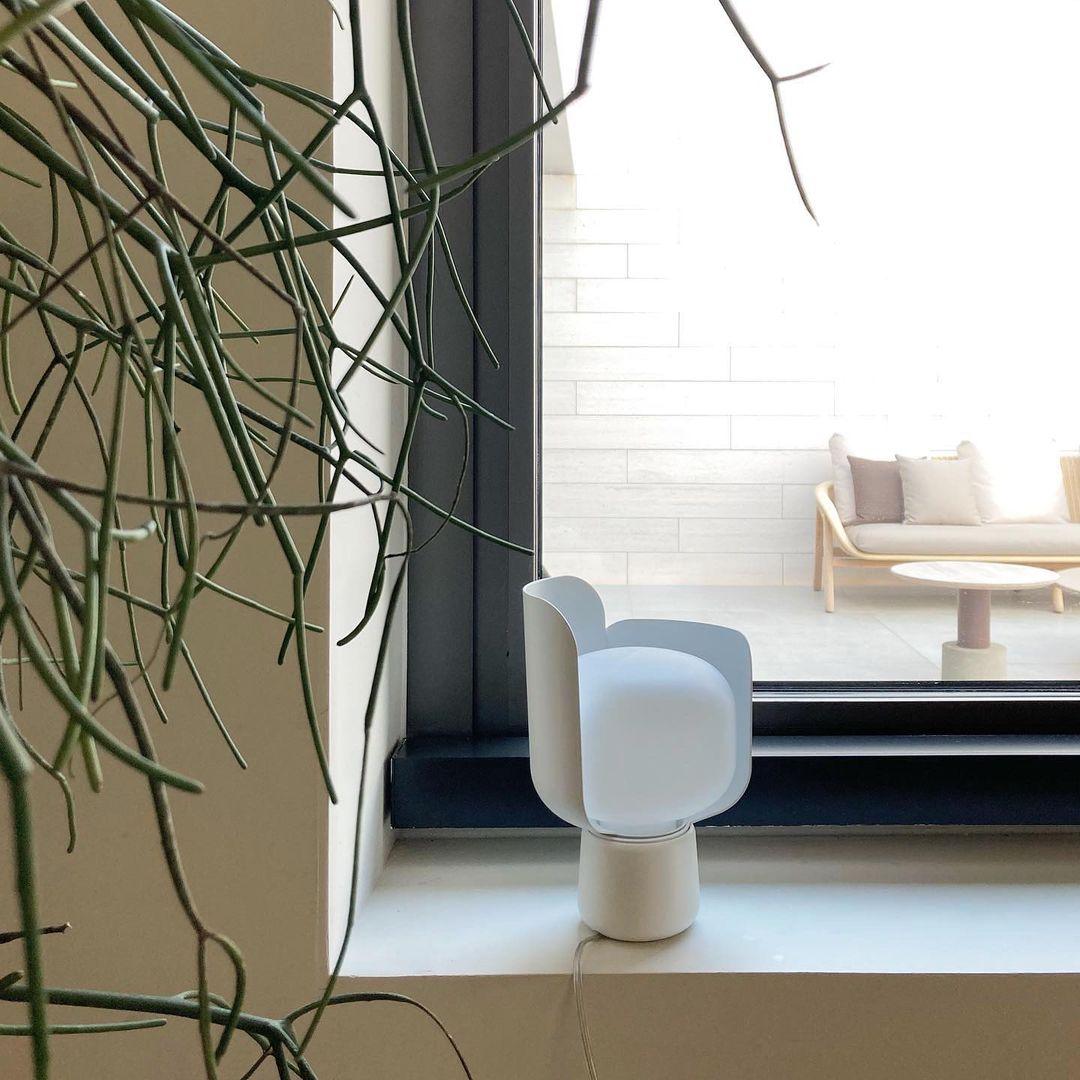 Tarima Table Lamp