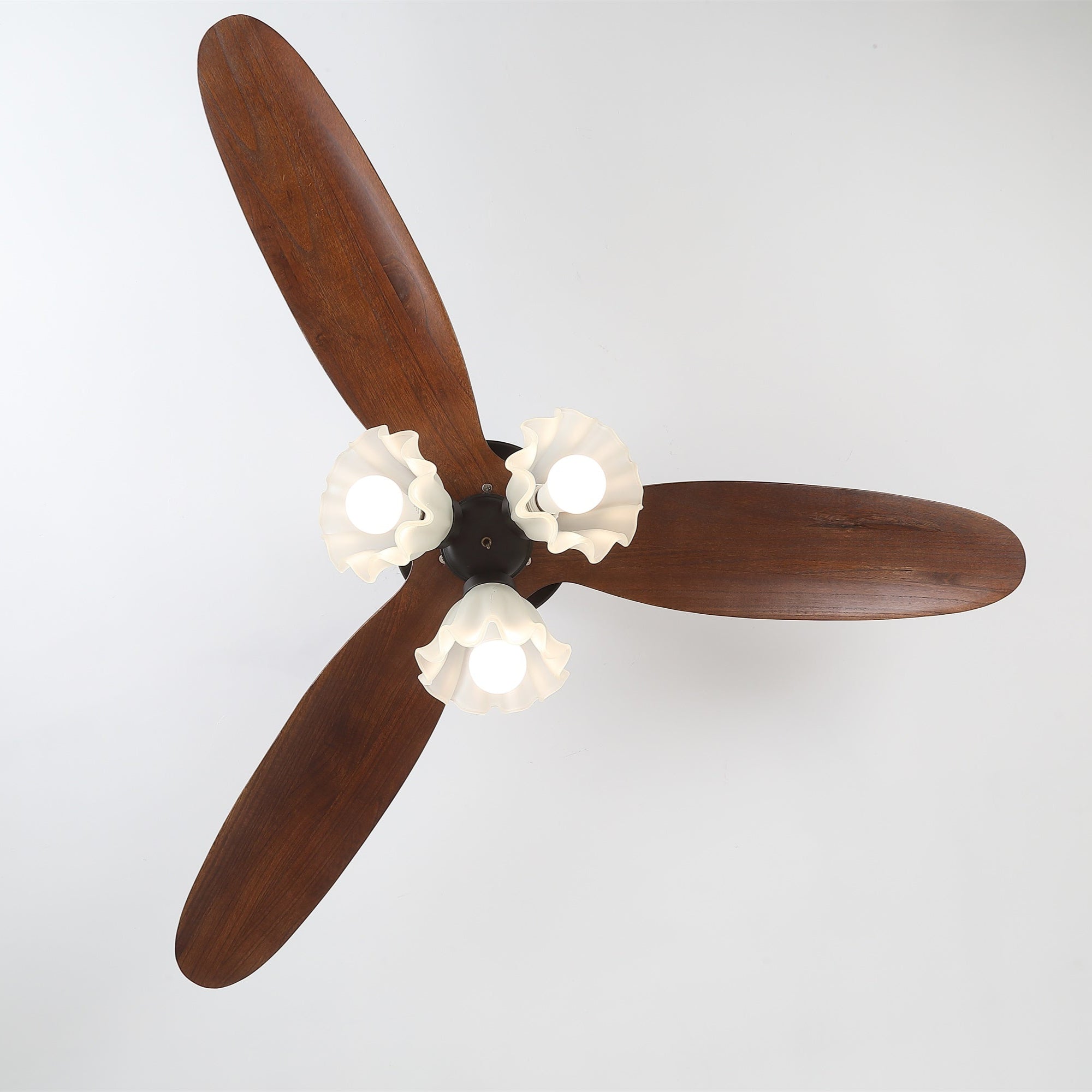 Tolsa Ceiling Fan