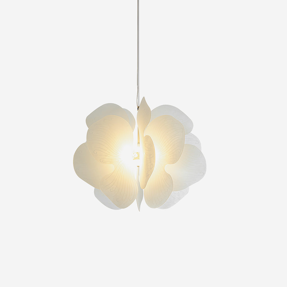 Bolife Pendant Light