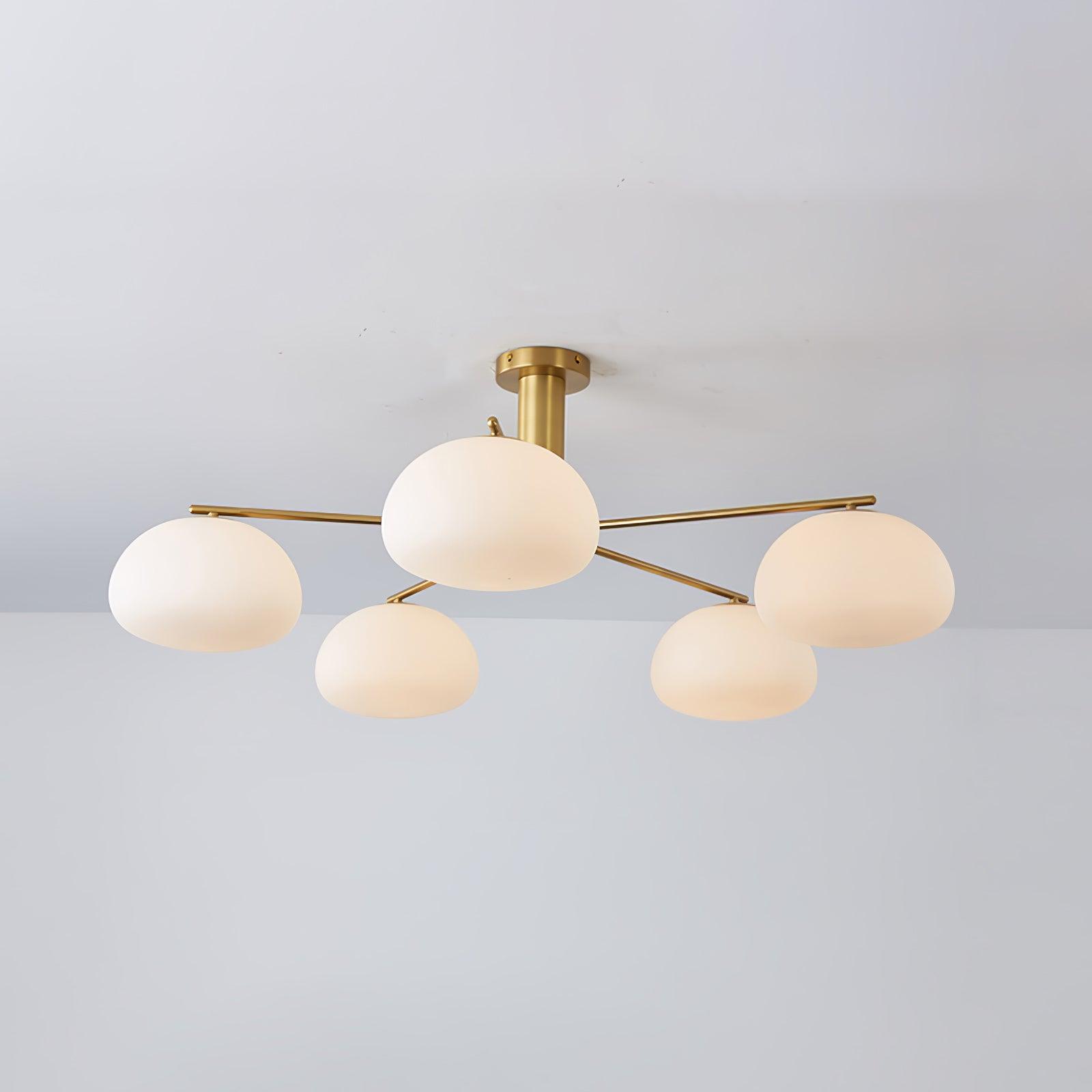 Mobael Ceiling Light