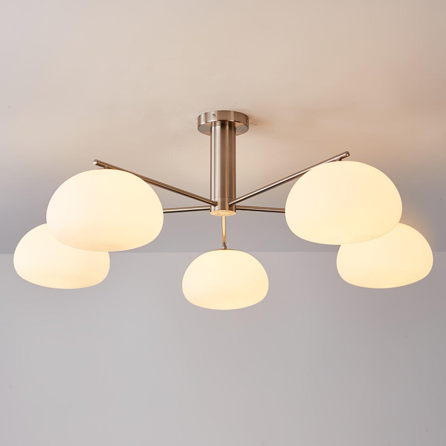 Mobael Ceiling Light