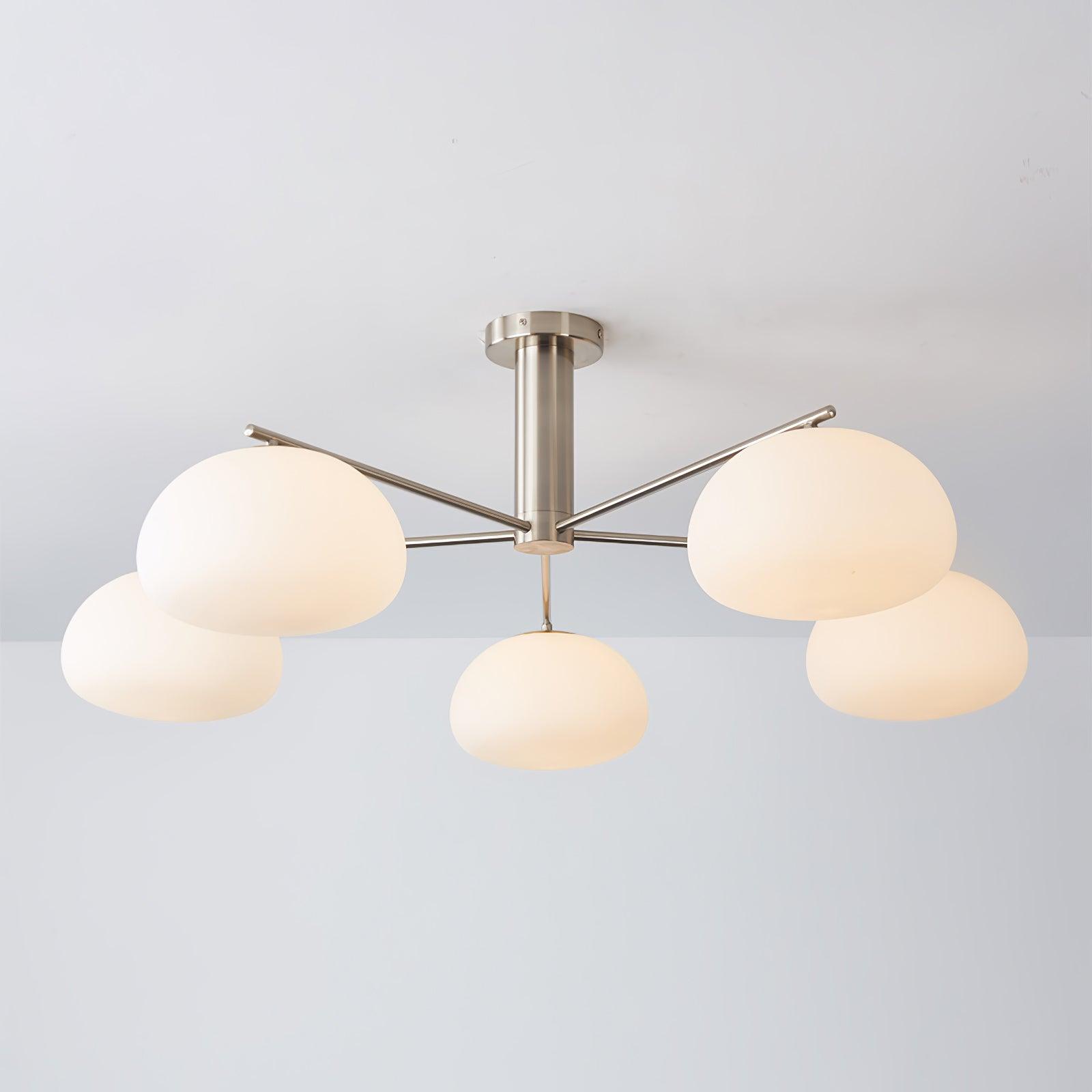 Mobael Ceiling Light