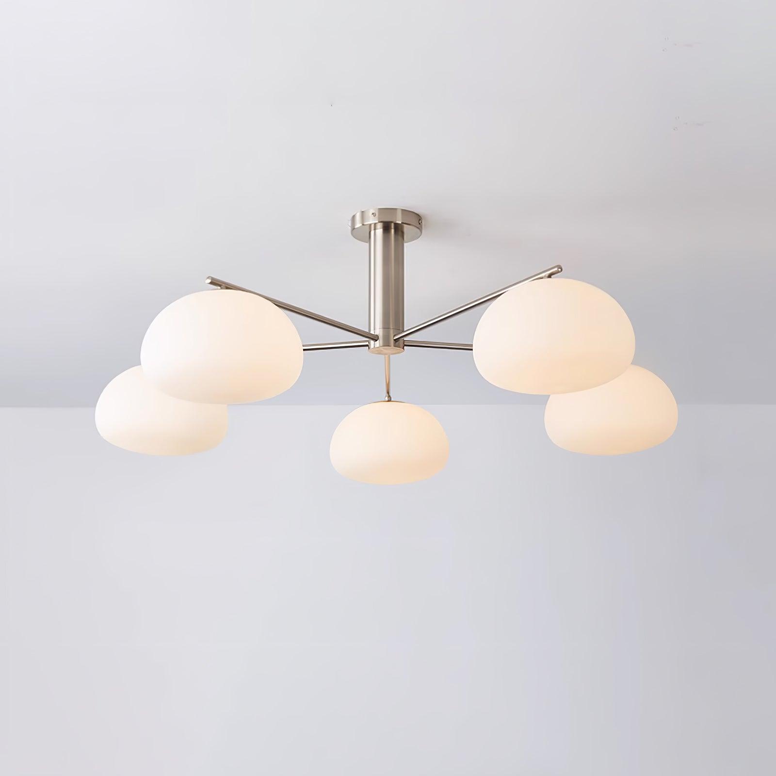 Mobael Ceiling Light