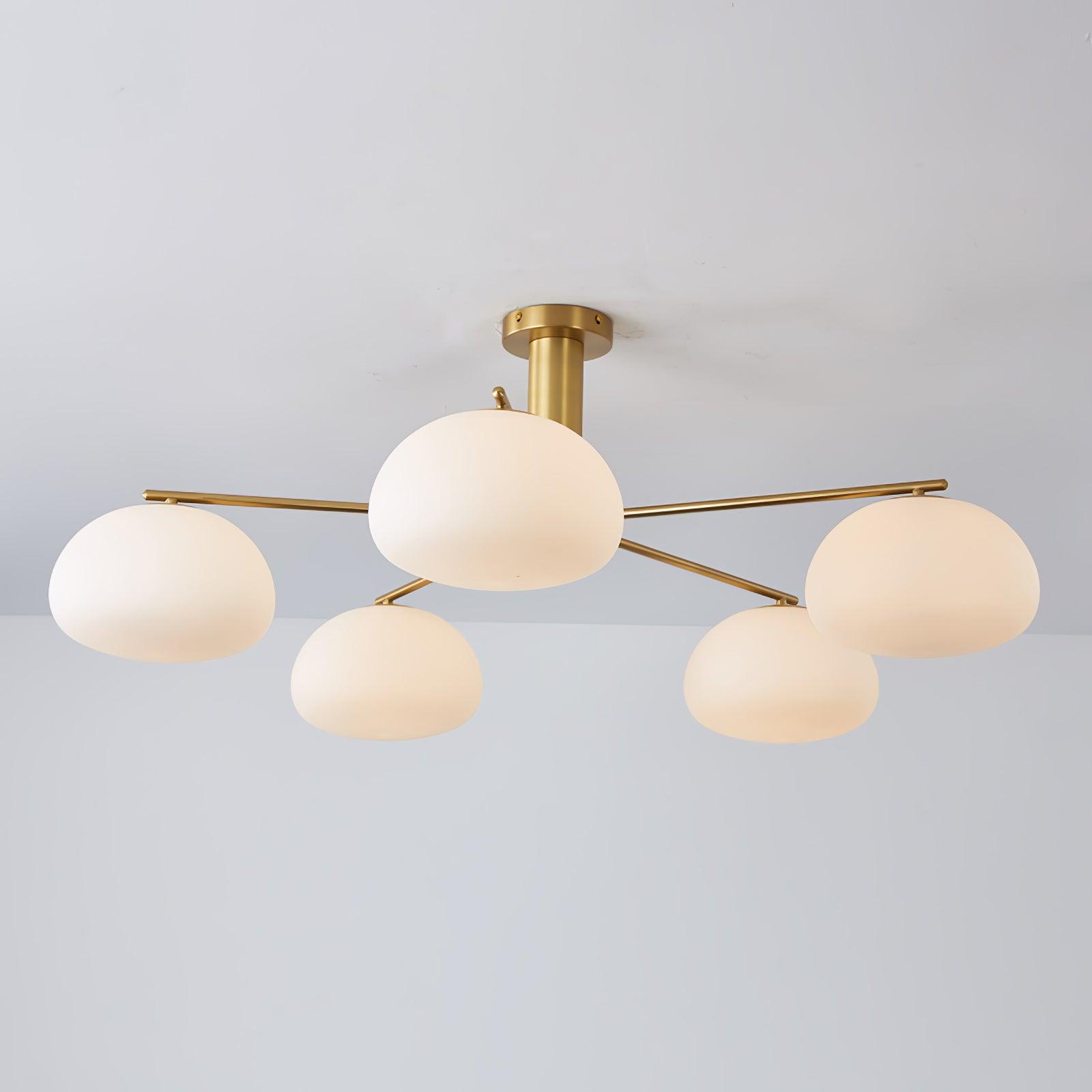 Mobael Ceiling Light