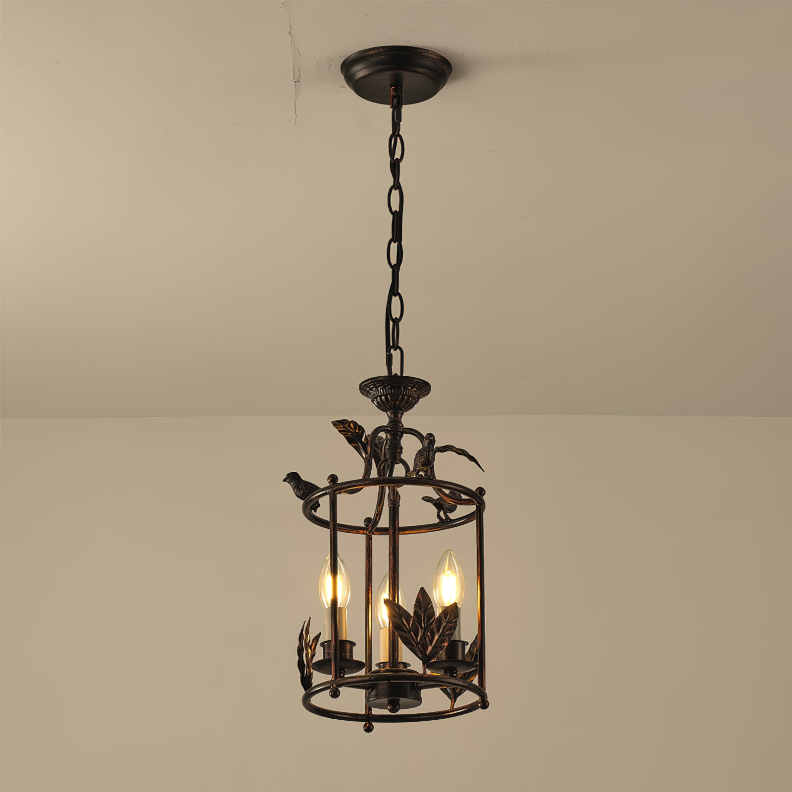 Zellcove Lantern Pendant Light