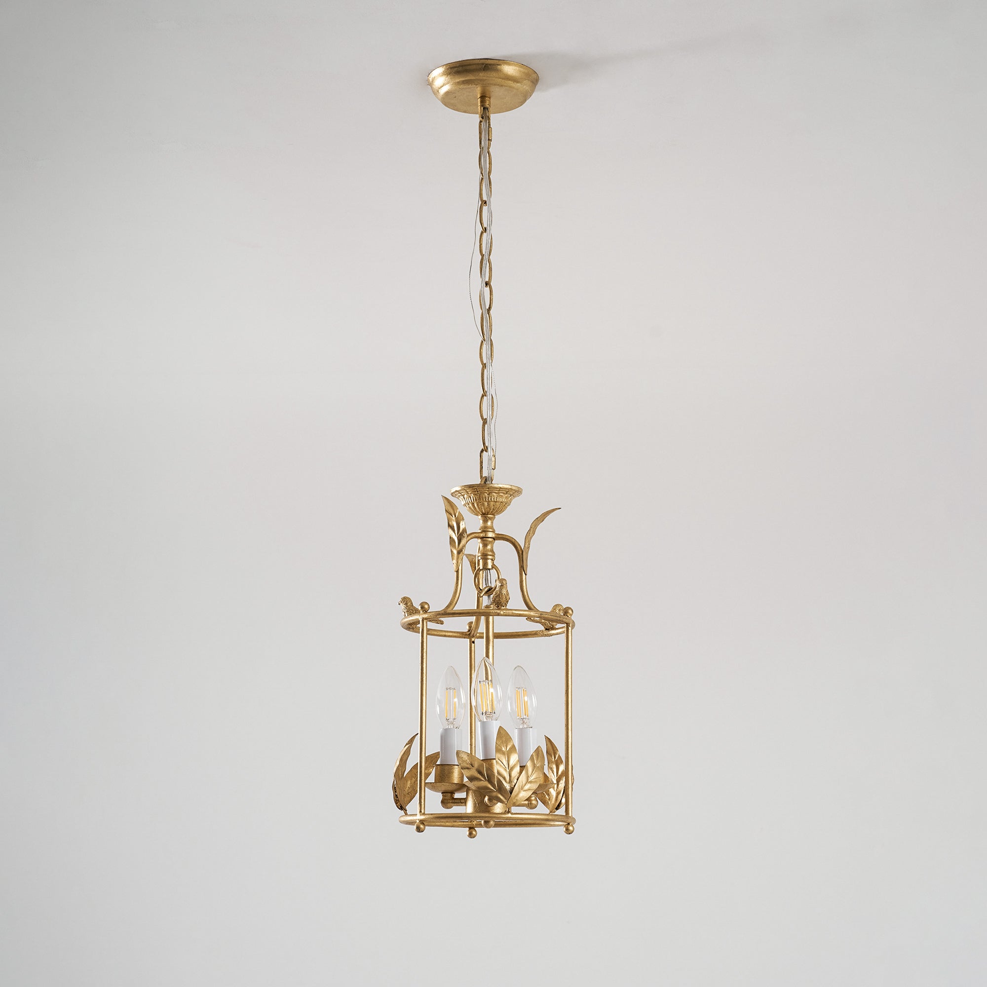 Zellcove Lantern Pendant Light