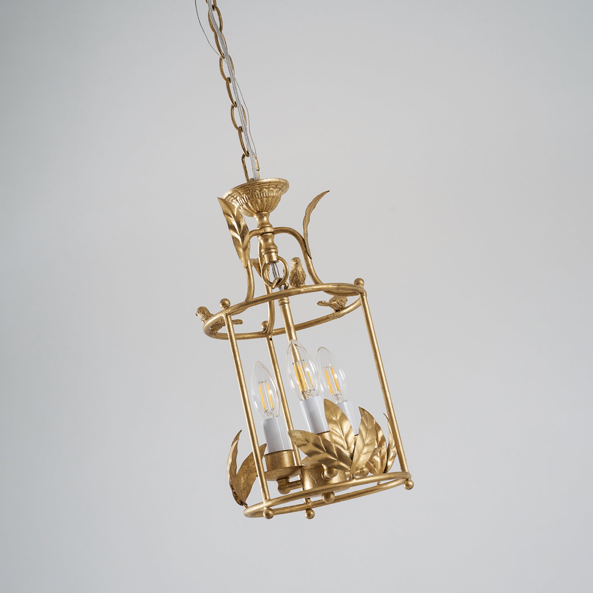 Zellcove Lantern Pendant Light