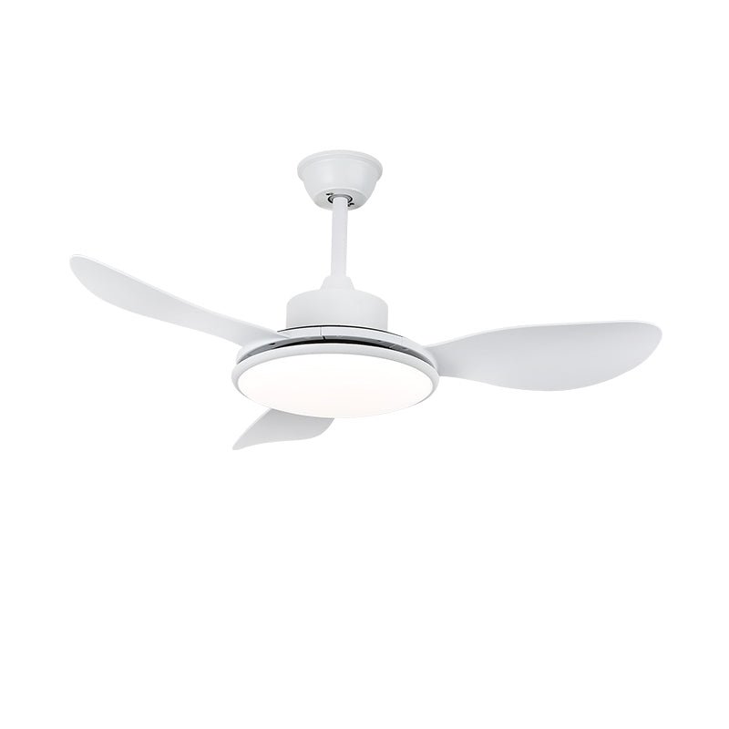 Bynler Ceiling Fan