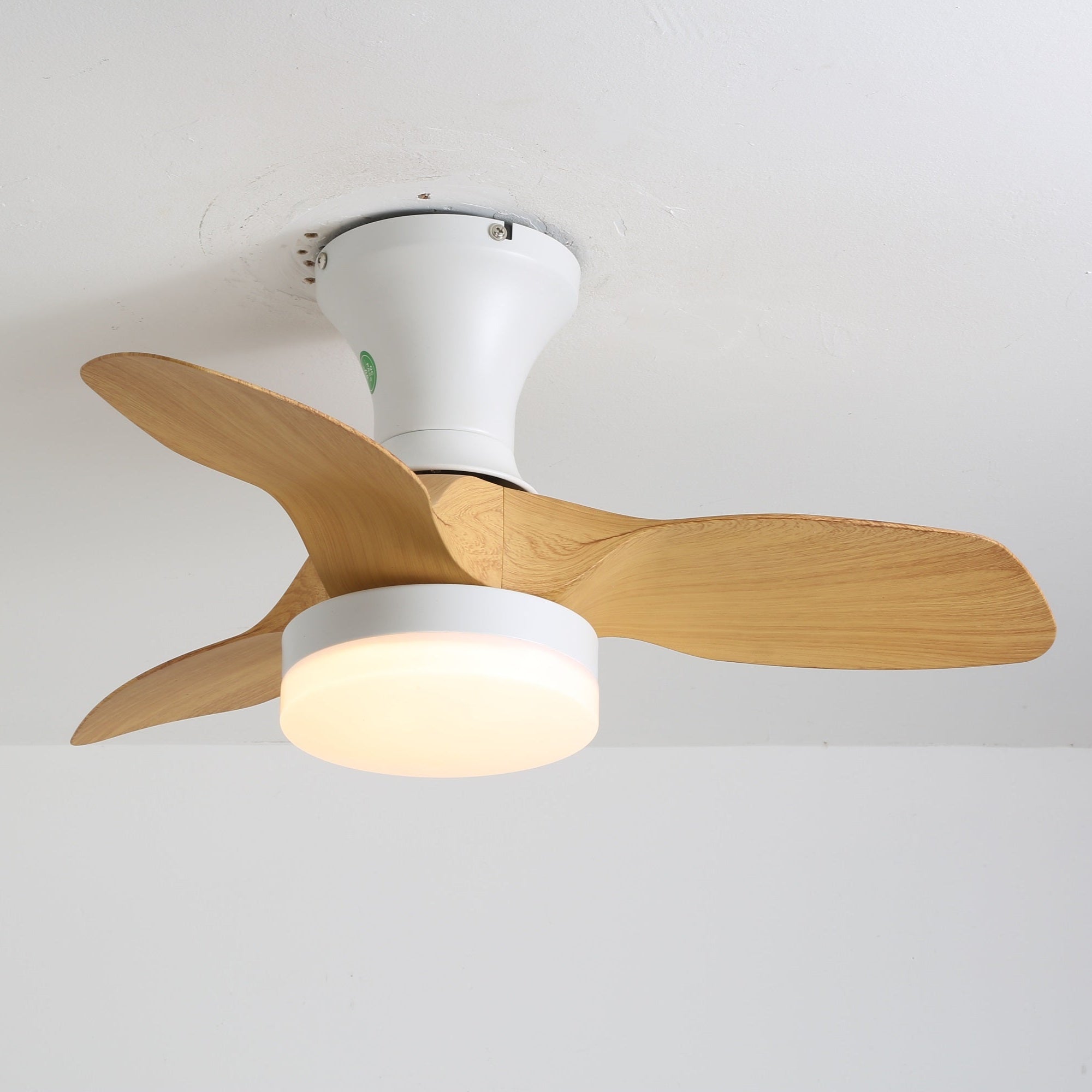 Haboro Ceiling Fan