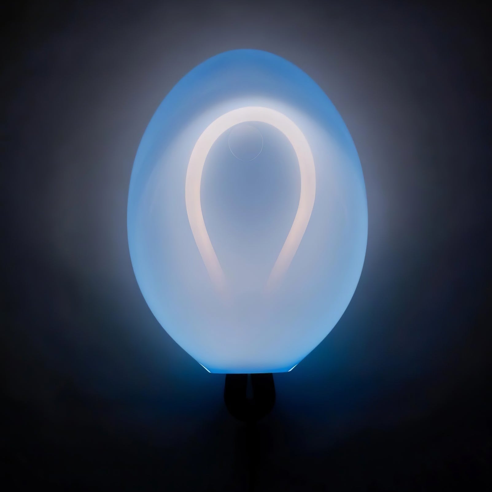 Volla Wall Light with Plug