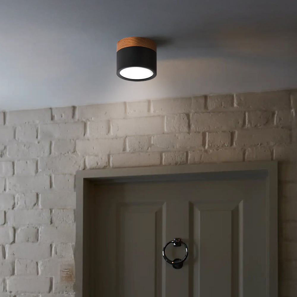 Cylinder Small Ceiling Light