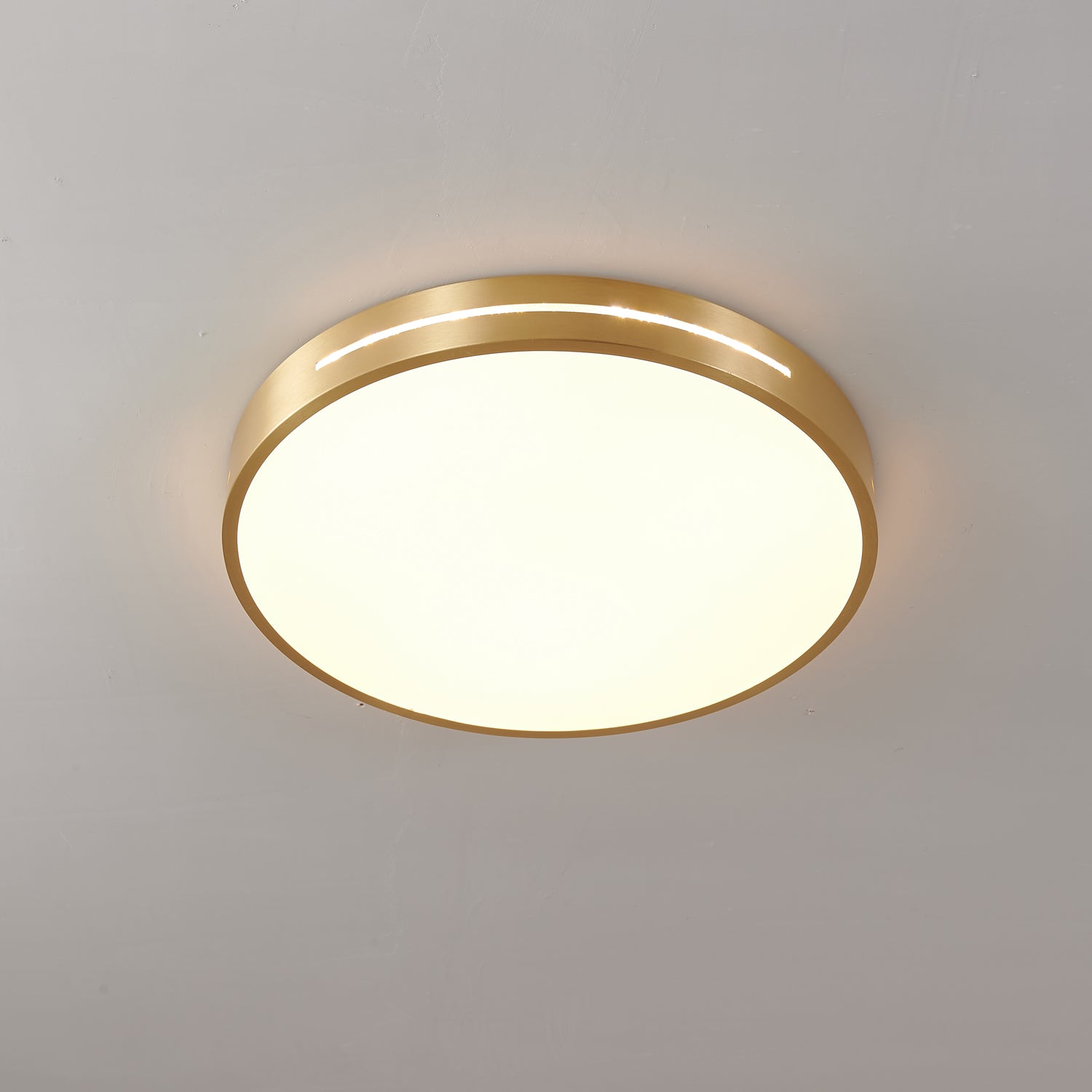 Coalema Ceiling Light