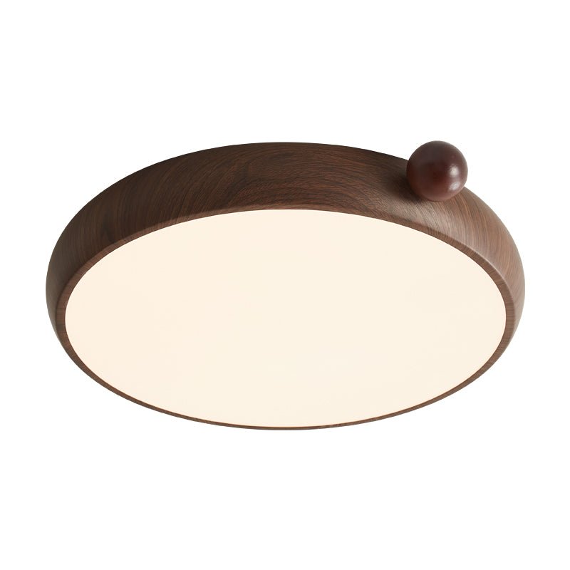Lecaniva Ceiling Light
