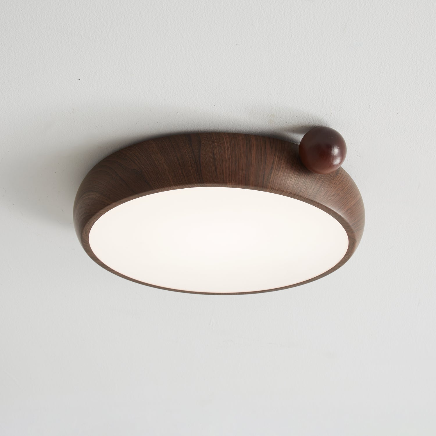 Lecaniva Ceiling Light